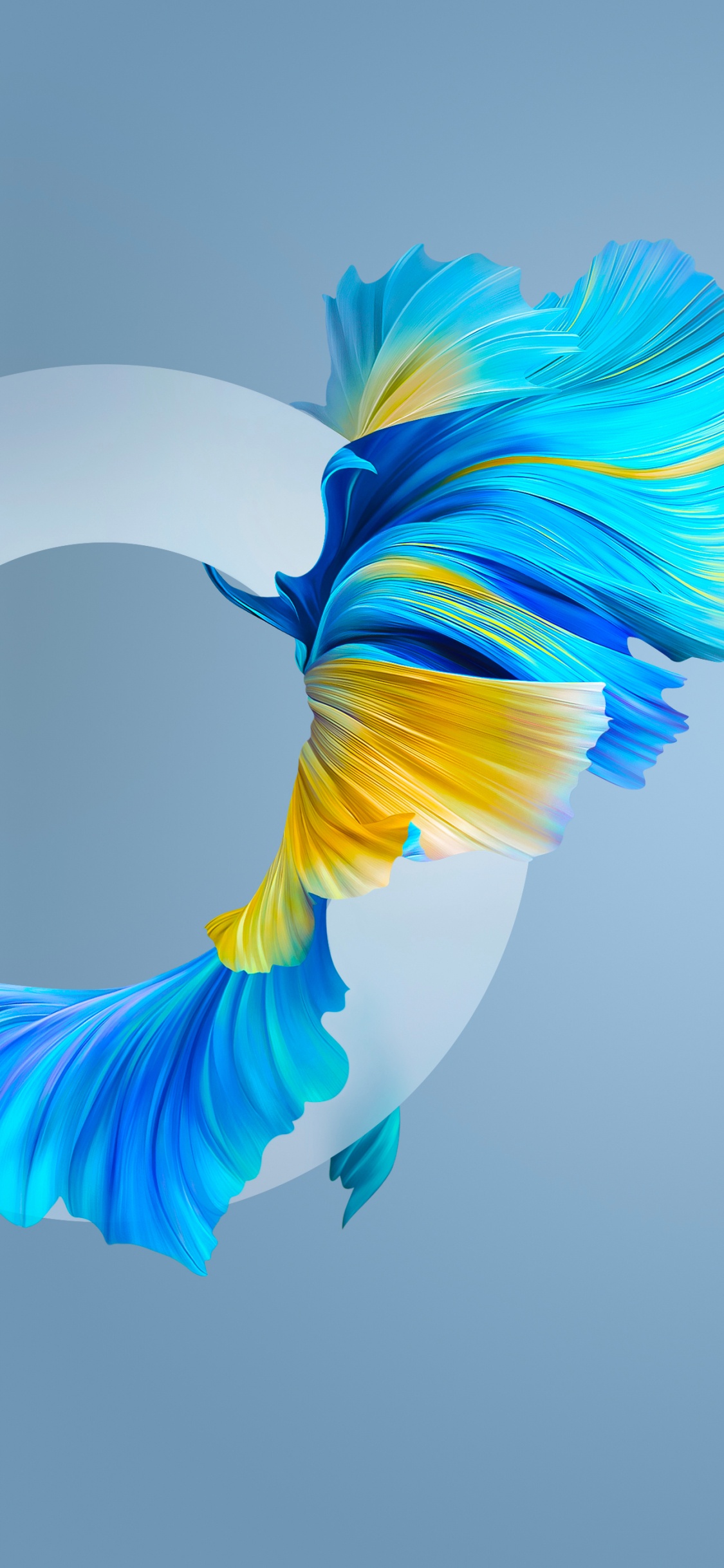 Huawei, Huawei Mate, Huawei Mate 40 Pro, Huawei Mate 40, Smartphone. Wallpaper in 1125x2436 Resolution