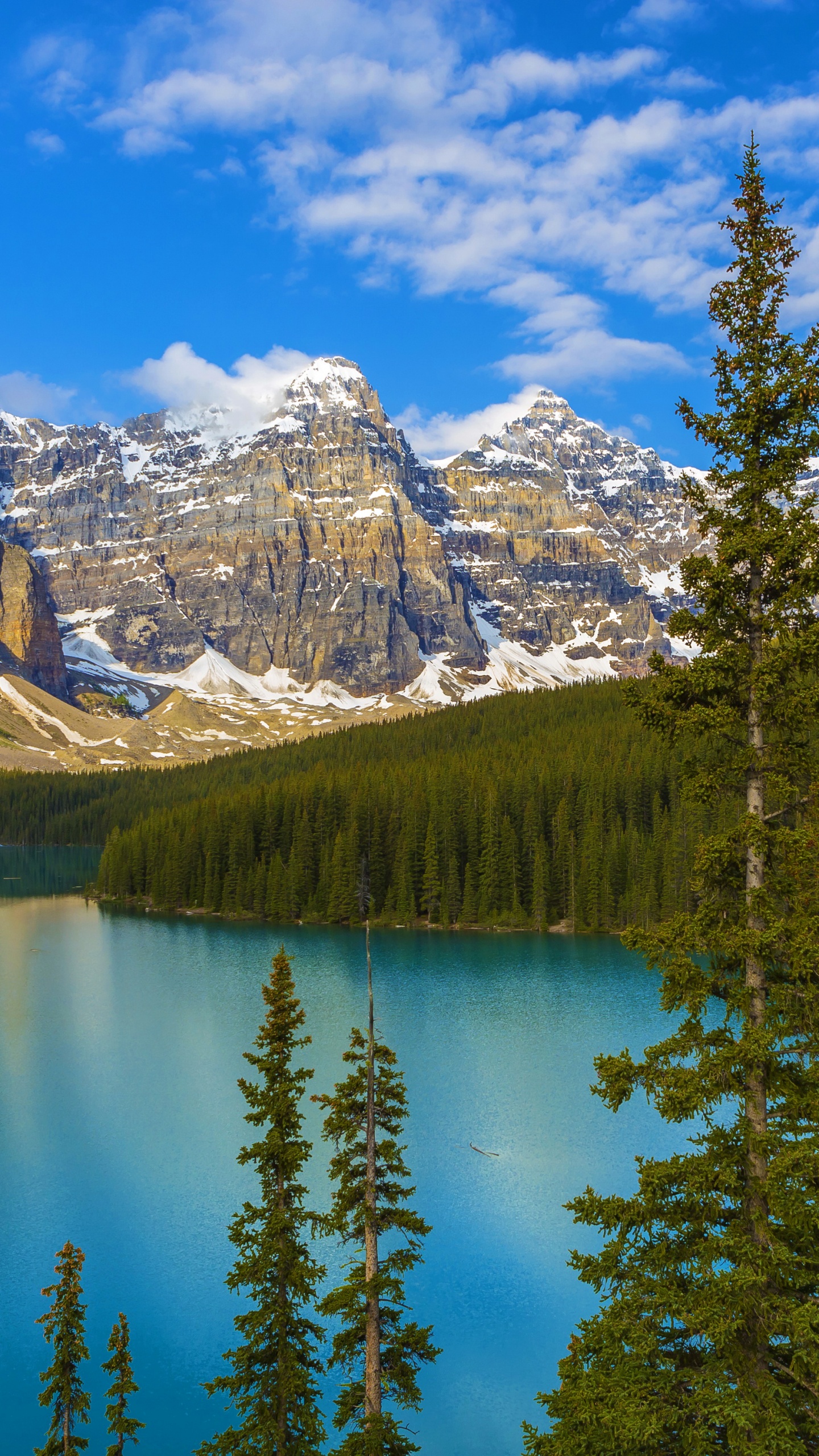 Pinos Verdes Cerca de la Montaña Cubierta de Nieve Bajo un Cielo Azul Durante el Día. Wallpaper in 1440x2560 Resolution