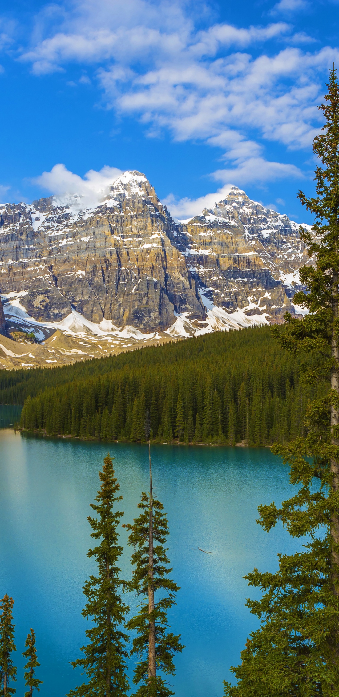 Green Pine Trees Near Snow Covered Mountain Under Blue Sky During Daytime. Wallpaper in 1440x2960 Resolution