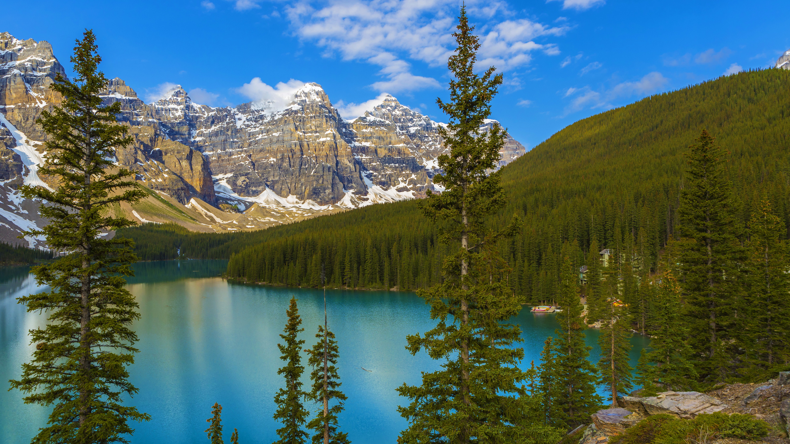 Grüne Kiefern in Der Nähe Von Schneebedeckten Bergen Unter Blauem Himmel Tagsüber. Wallpaper in 2560x1440 Resolution