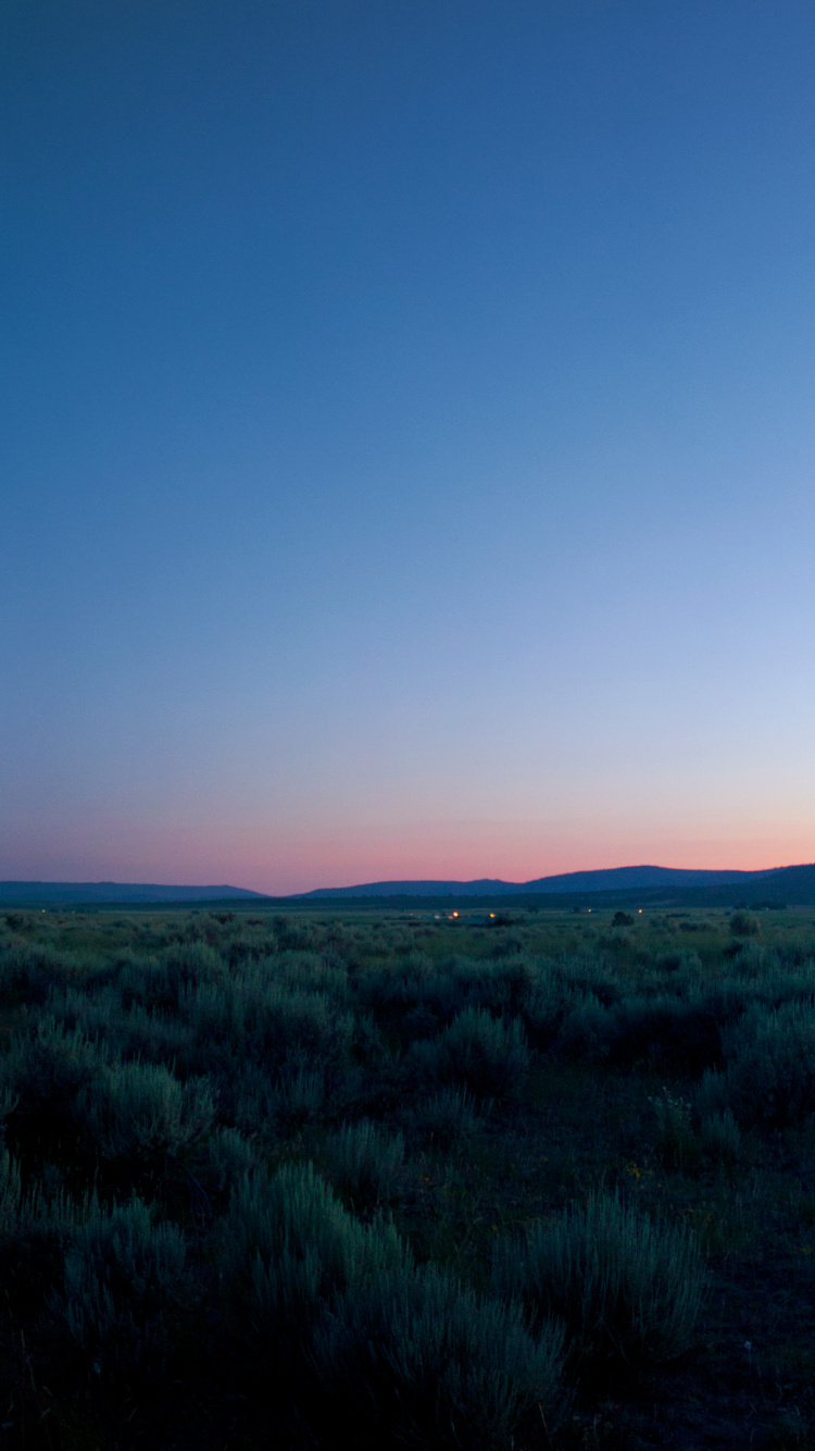 Grassland, Atmosphere, Cloud, Plant, Natural Landscape. Wallpaper in 750x1334 Resolution