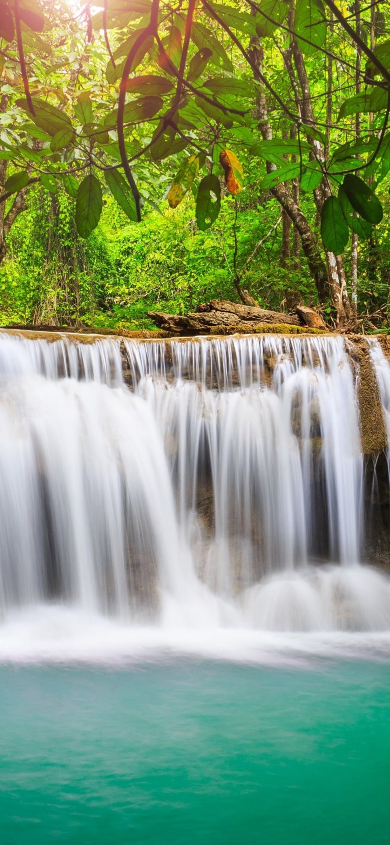 Cascada, Los Recursos de Agua, Cuerpo de Agua, Paisaje Natural, Naturaleza. Wallpaper in 1242x2688 Resolution