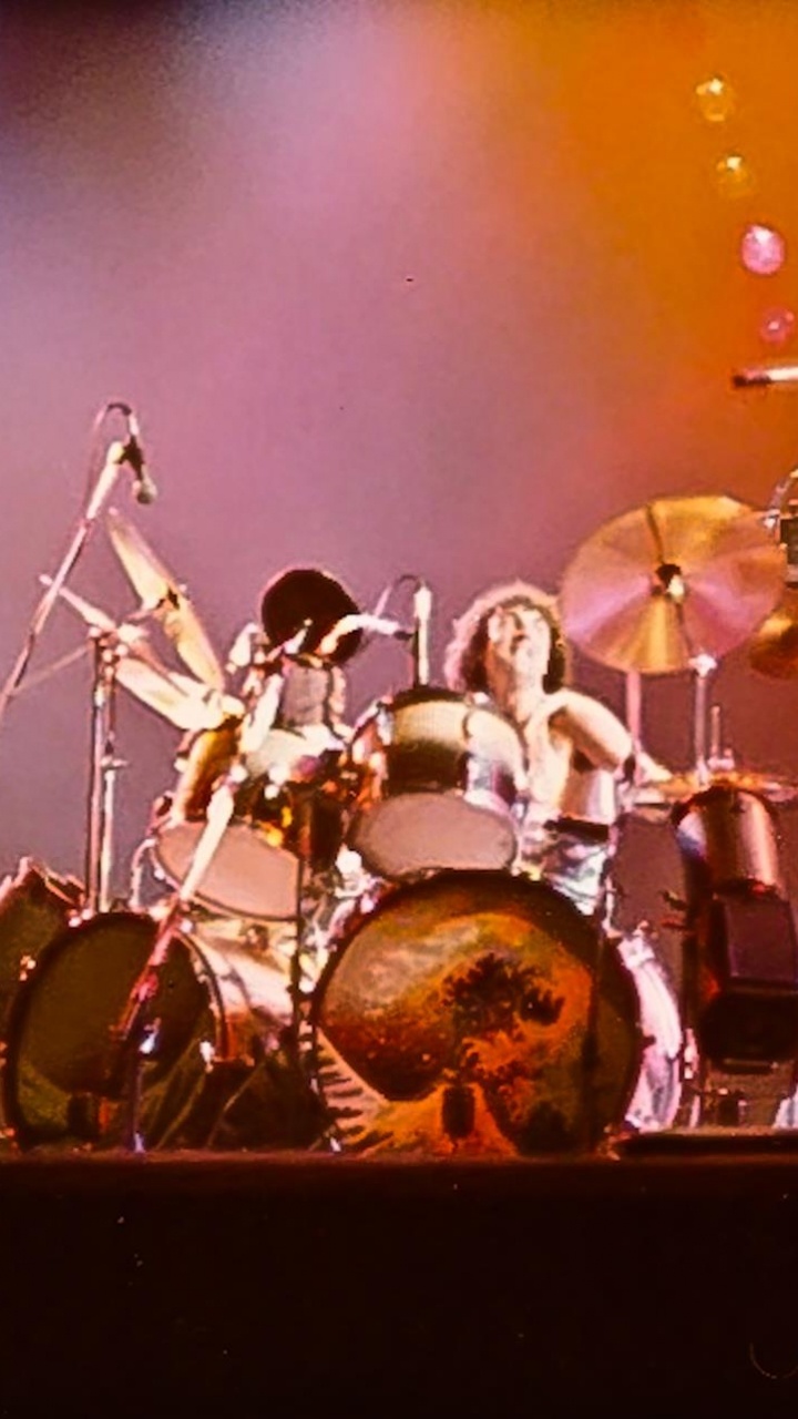 Pink Floyd, Animals, Concert, Performance, Entertainment. Wallpaper in 720x1280 Resolution