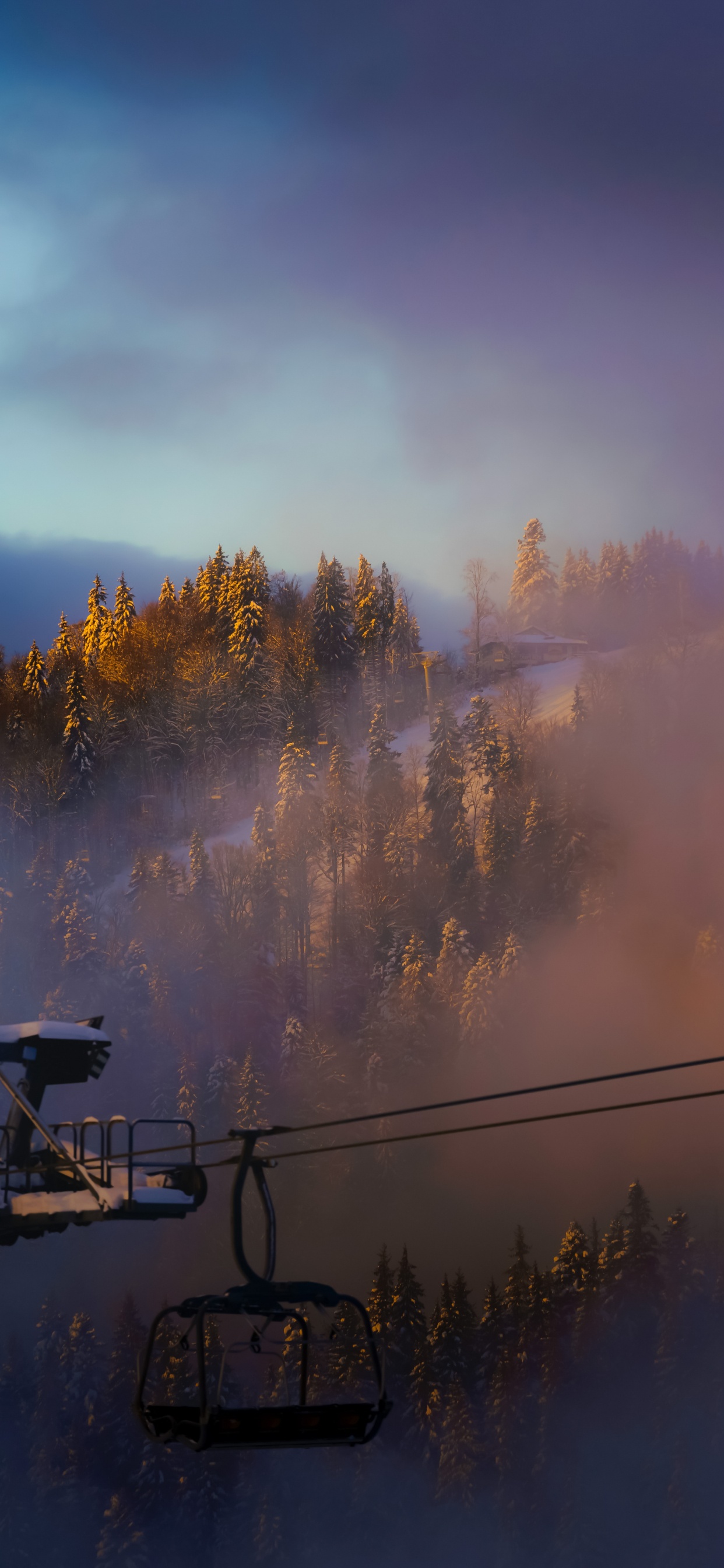 Cloud, Atmosphere, Daytime, Plant, Afterglow. Wallpaper in 1242x2688 Resolution