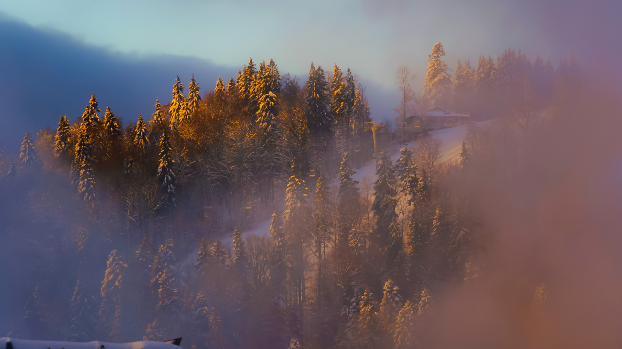 气氛, 余辉, 人体内的水, 日出 壁纸 1280x720 允许