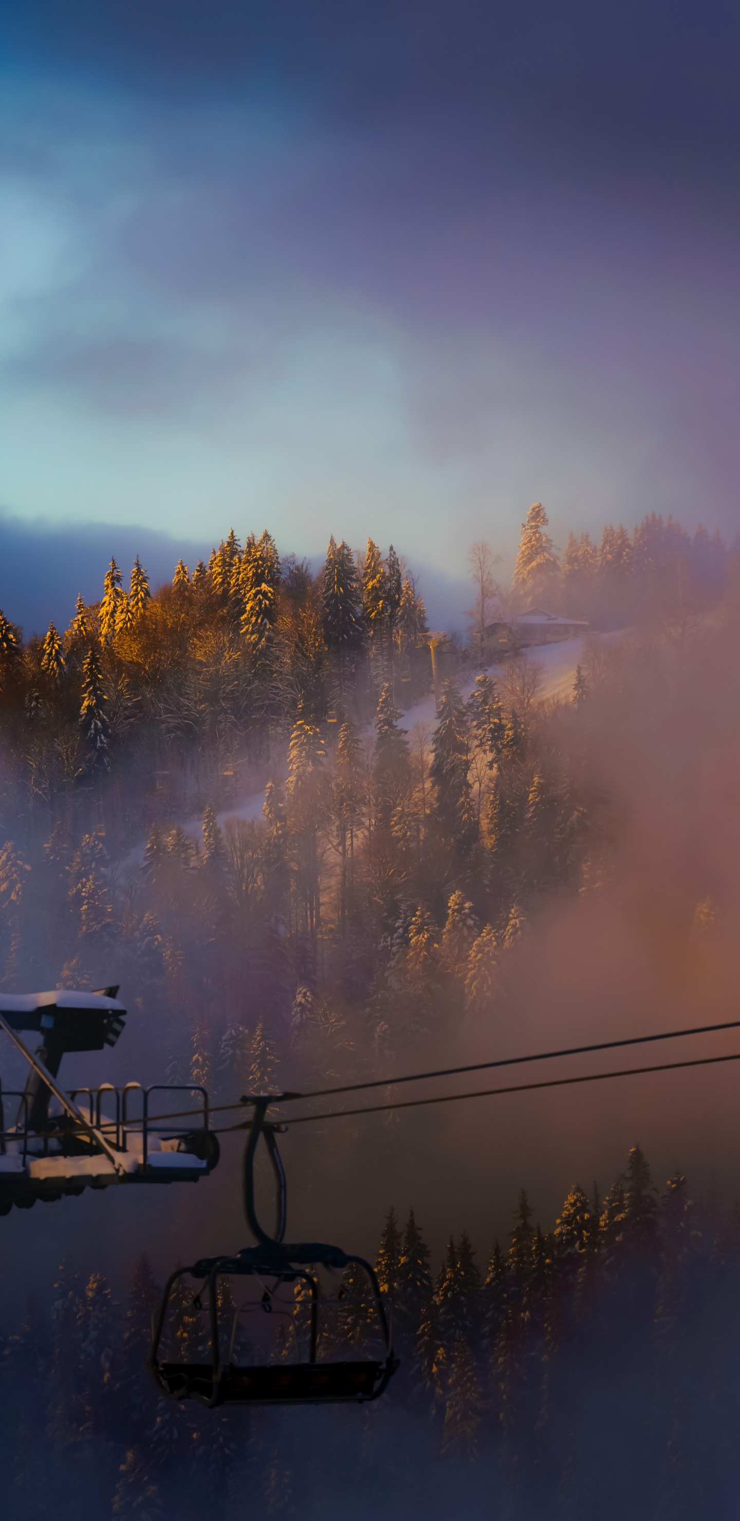 气氛, 余辉, 人体内的水, 日出 壁纸 1440x2960 允许