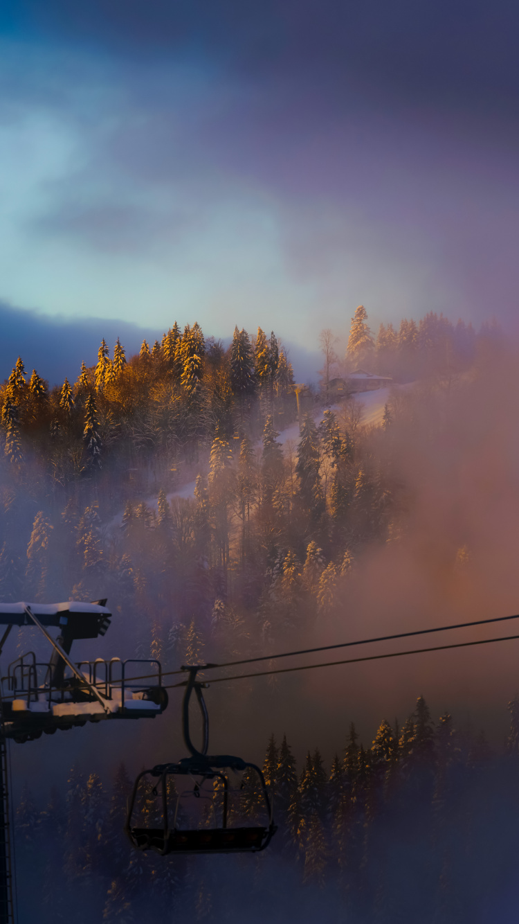 气氛, 余辉, 人体内的水, 日出 壁纸 750x1334 允许