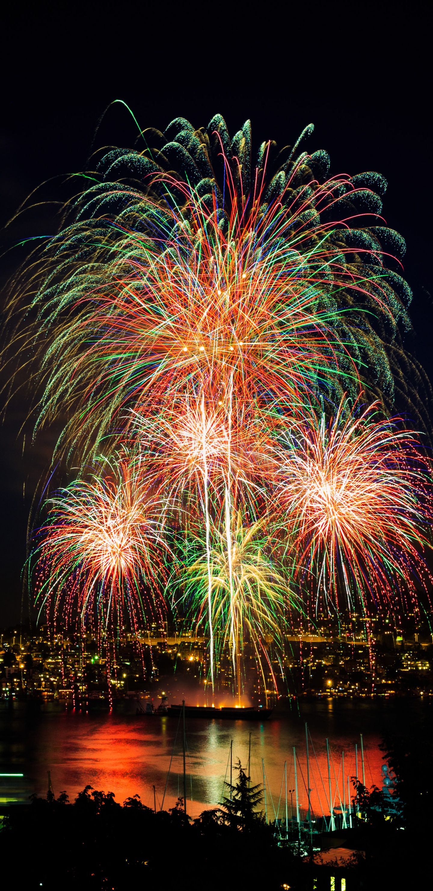 Independence Day, Fireworks, Night, New Years Day, Reflection. Wallpaper in 1440x2960 Resolution