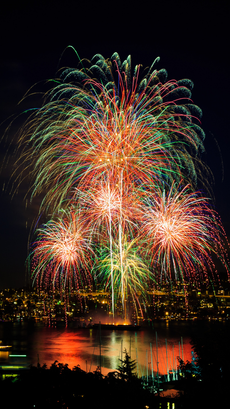 Independence Day, Fireworks, Night, New Years Day, Reflection. Wallpaper in 750x1334 Resolution