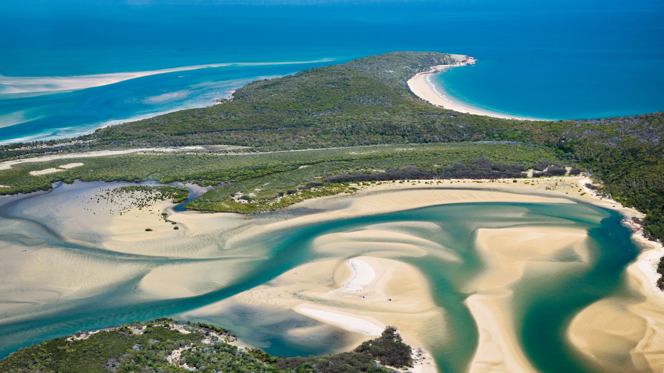 Aerial View of Green Trees and Body of Water During Daytime. Wallpaper in 2560x1440 Resolution