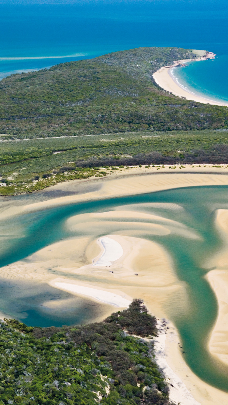 Aerial View of Green Trees and Body of Water During Daytime. Wallpaper in 750x1334 Resolution