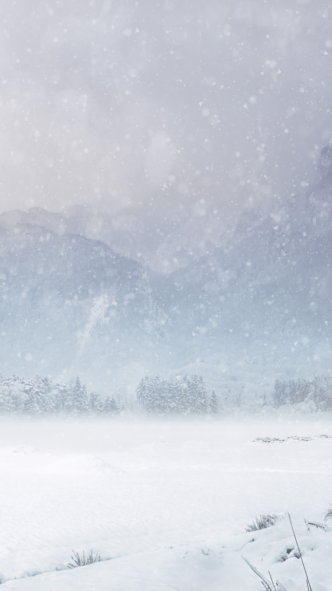Schnee, Winter Storm, Winter, Cloud, Naturlandschaft. Wallpaper in 1080x1920 Resolution