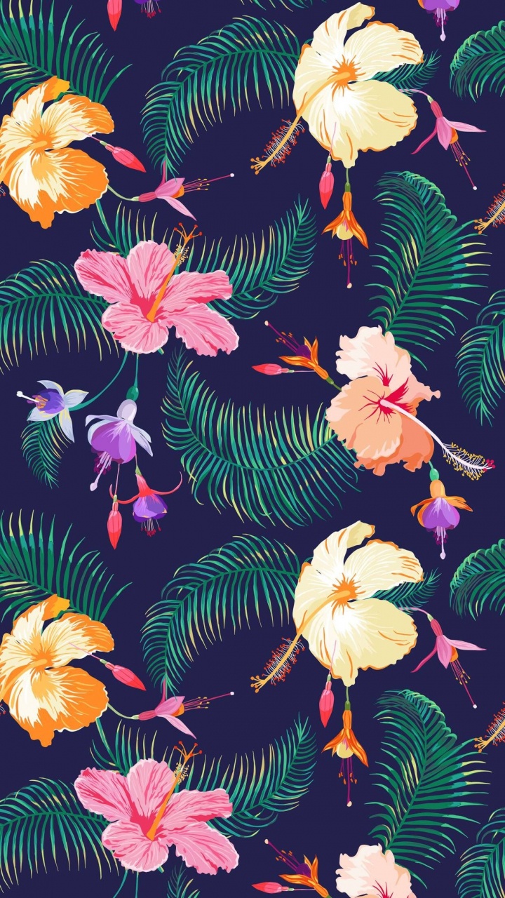 芙蓉, 显花植物, 花卉设计 壁纸 720x1280 允许