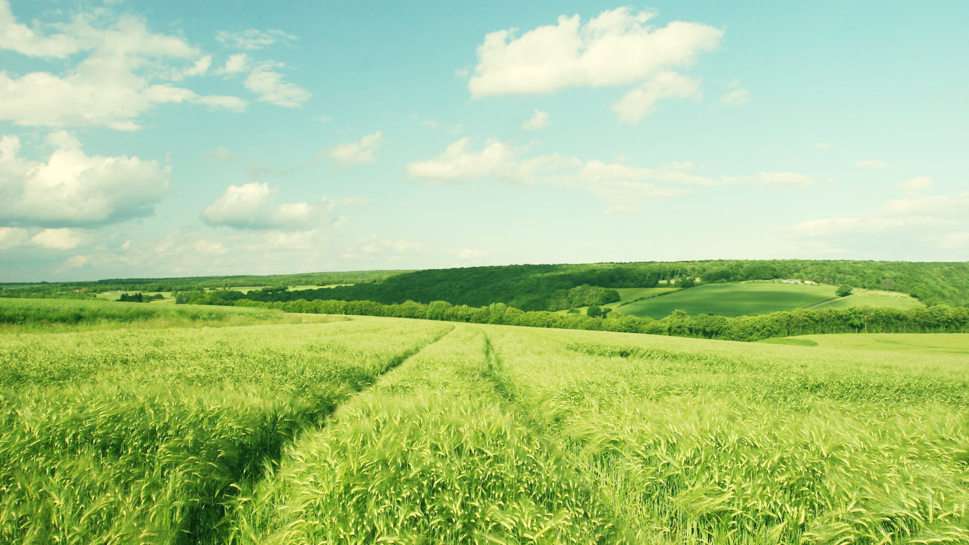 Green Grass Field Under Blue Sky During Daytime. Wallpaper in 1920x1080 Resolution