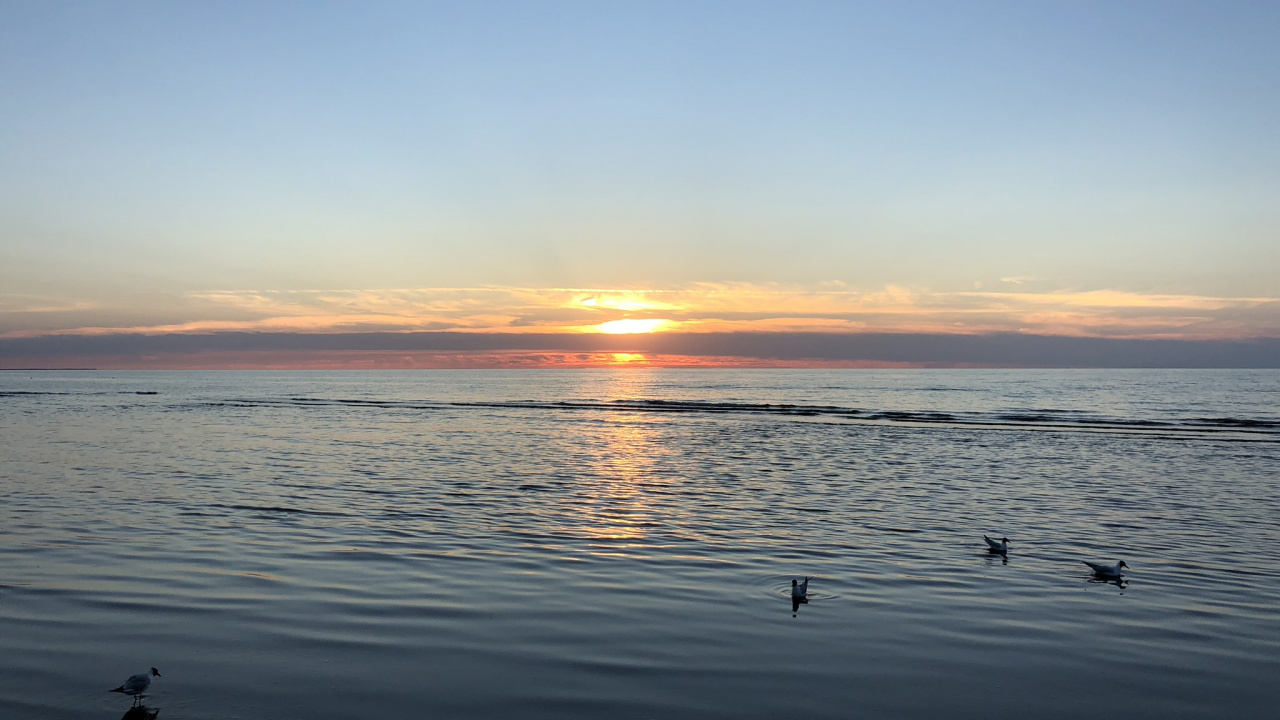 Horizon, Water, Sunrise, Body of Water, Fluid. Wallpaper in 1280x720 Resolution