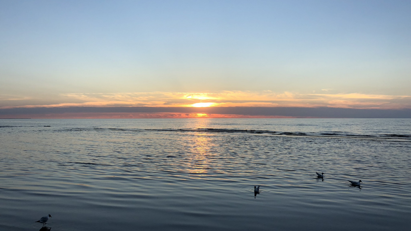 Horizon, Water, Sunrise, Body of Water, Fluid. Wallpaper in 1366x768 Resolution