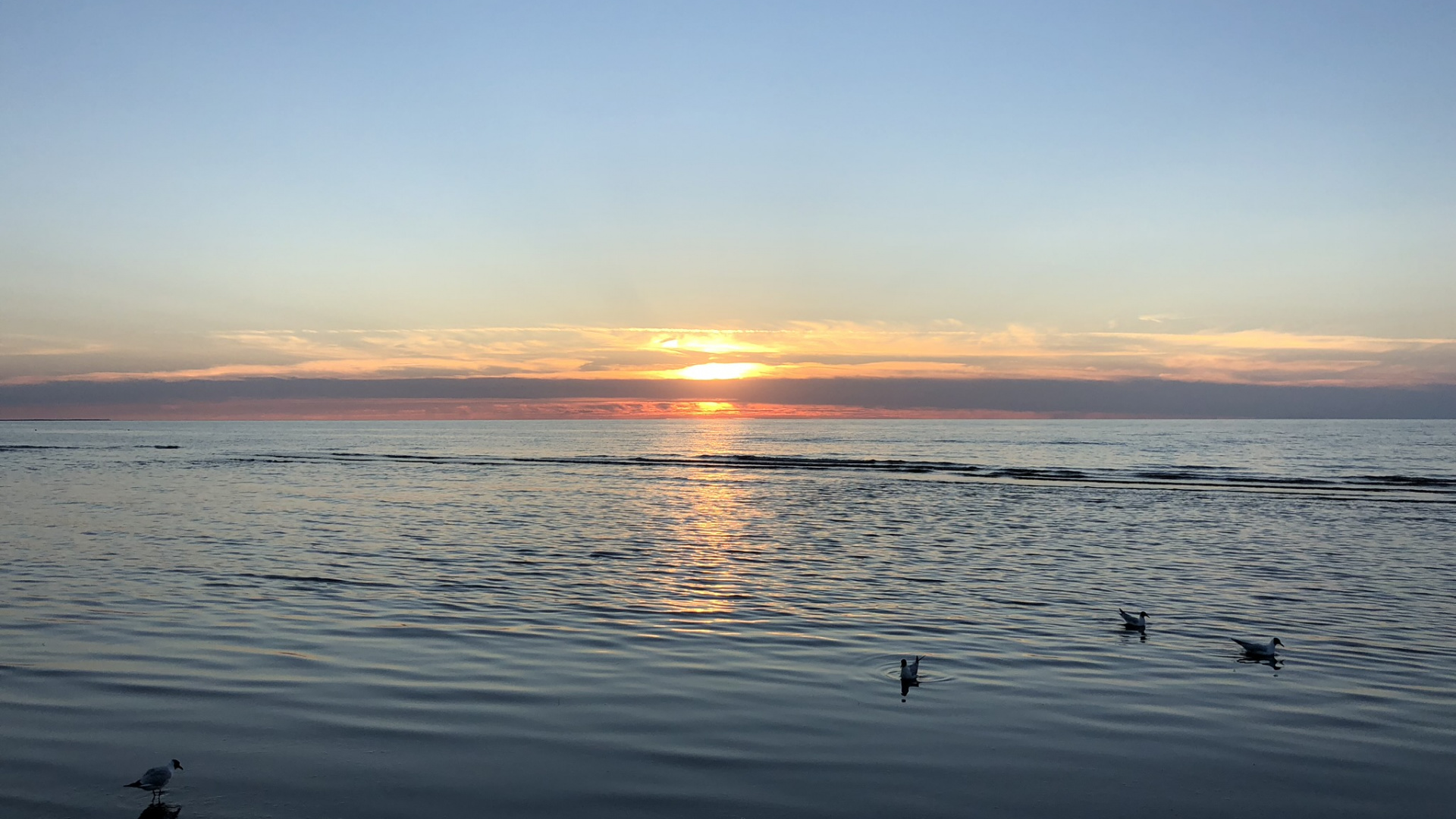 Horizon, Water, Sunrise, Body of Water, Fluid. Wallpaper in 1920x1080 Resolution