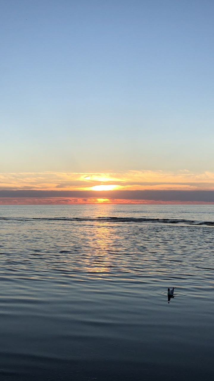 Horizon, Water, Sunrise, Body of Water, Fluid. Wallpaper in 720x1280 Resolution