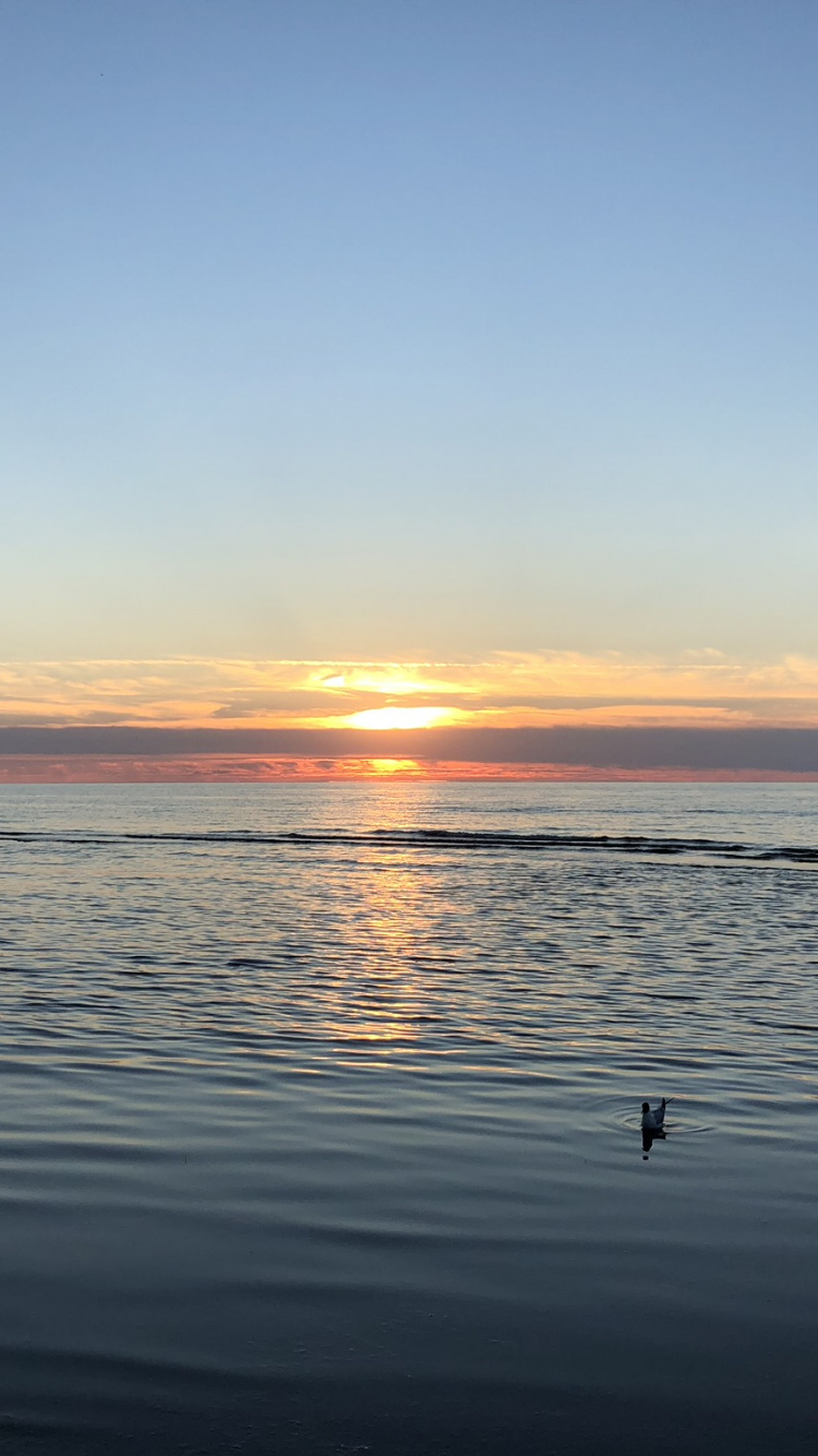 Horizon, Water, Sunrise, Body of Water, Fluid. Wallpaper in 750x1334 Resolution