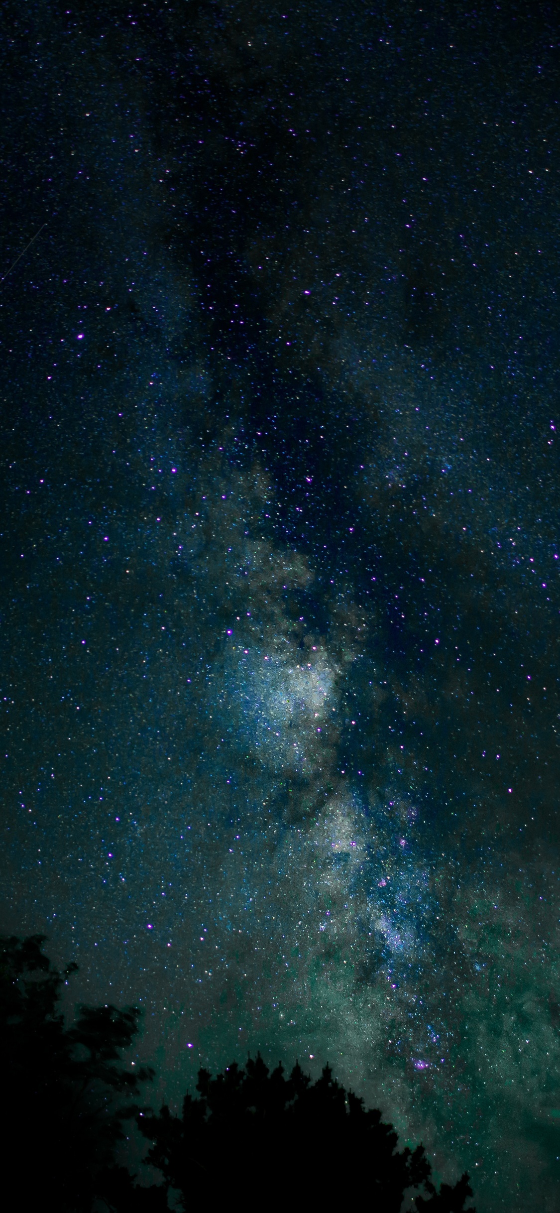 Grüne Bäume Unter Blauem Himmel Während Der Nacht Night. Wallpaper in 1125x2436 Resolution