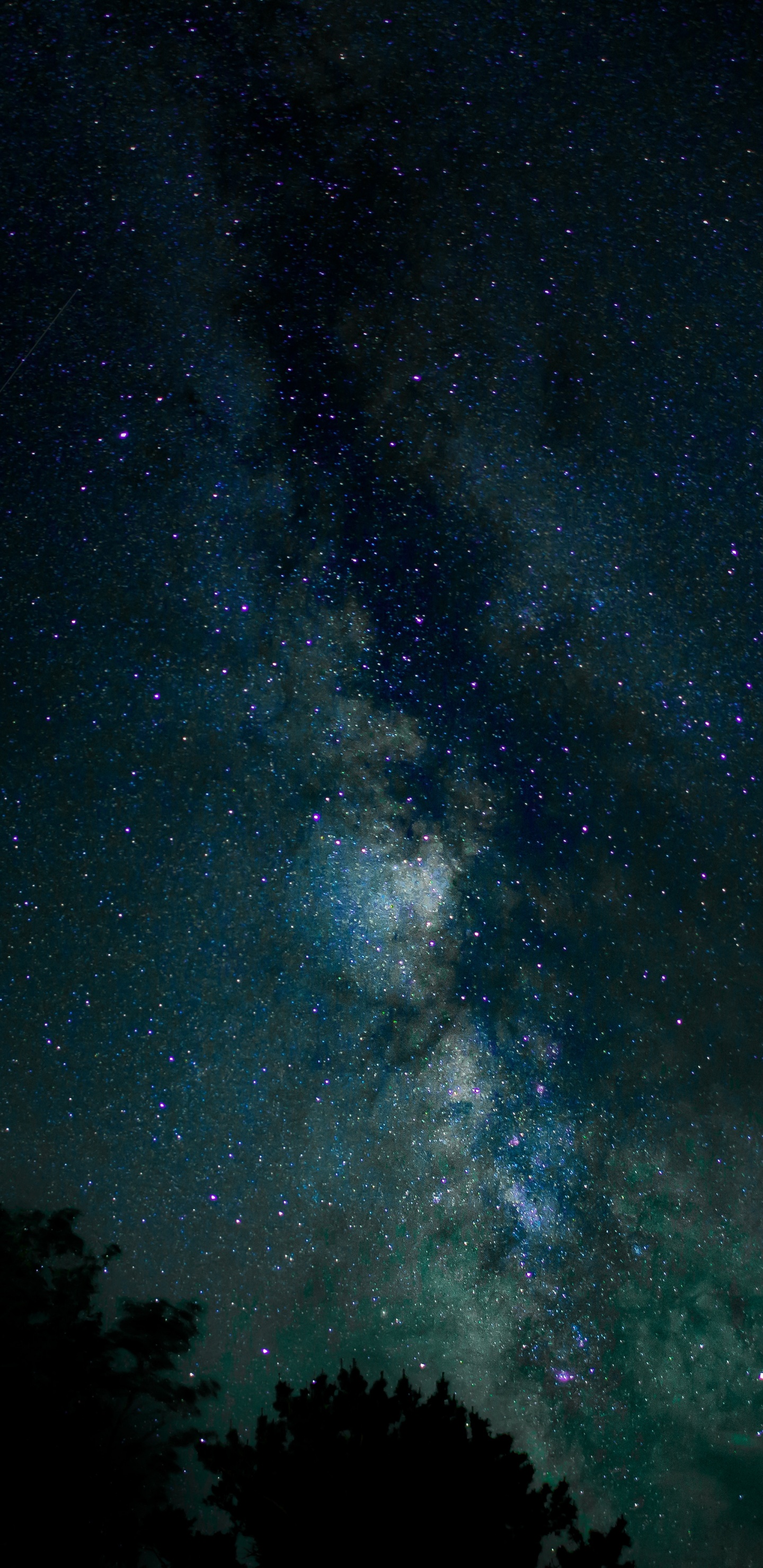 Grüne Bäume Unter Blauem Himmel Während Der Nacht Night. Wallpaper in 1440x2960 Resolution