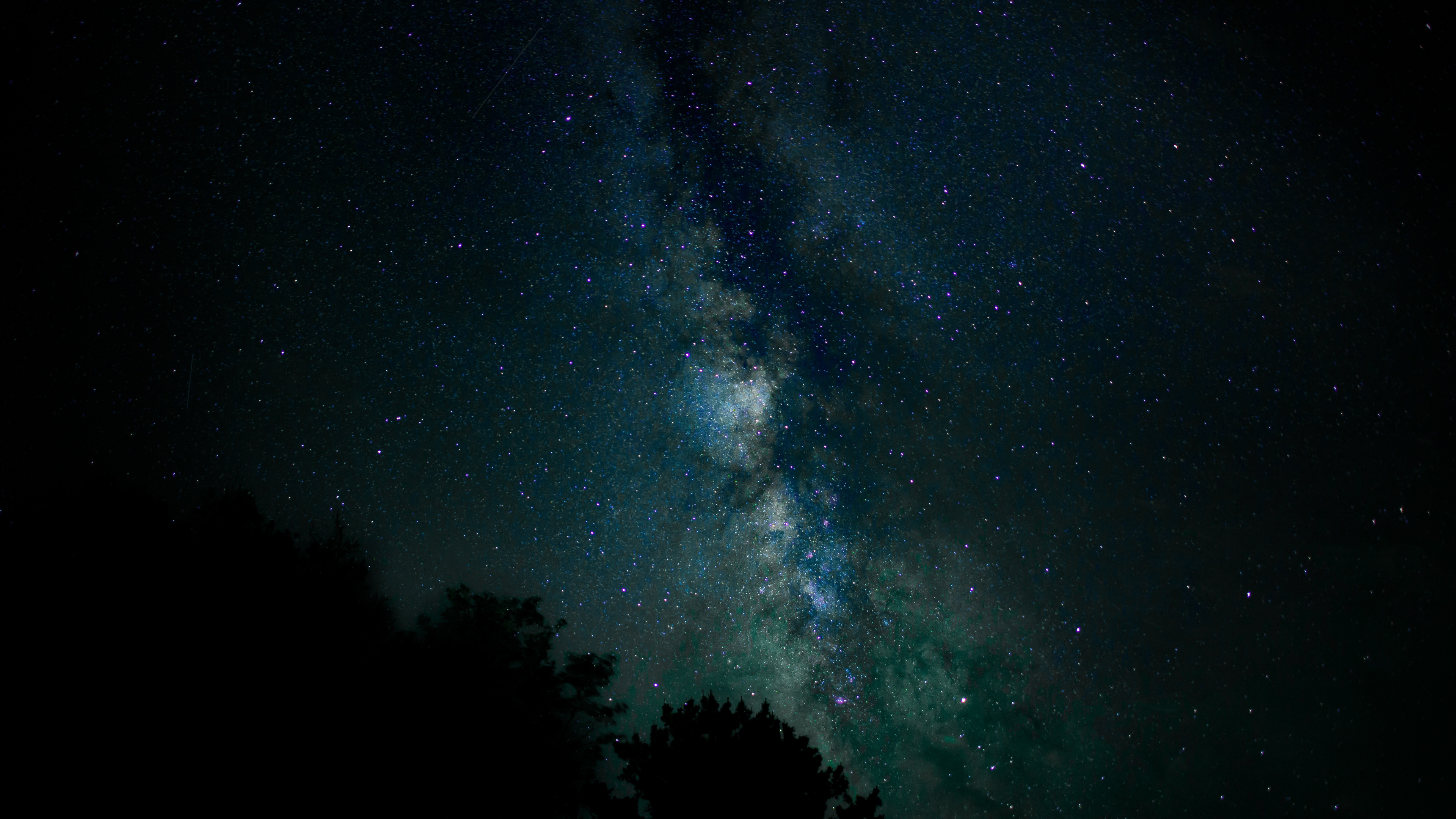 Grüne Bäume Unter Blauem Himmel Während Der Nacht Night. Wallpaper in 3840x2160 Resolution