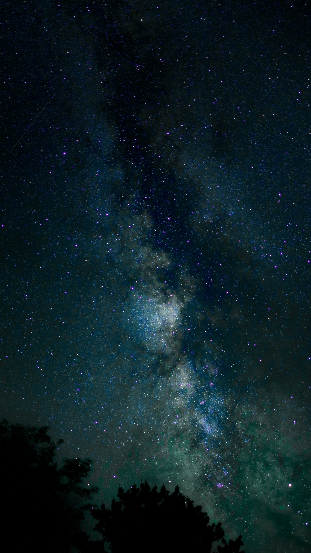 Árboles Verdes Bajo un Cielo Azul Durante la Noche. Wallpaper in 1080x1920 Resolution