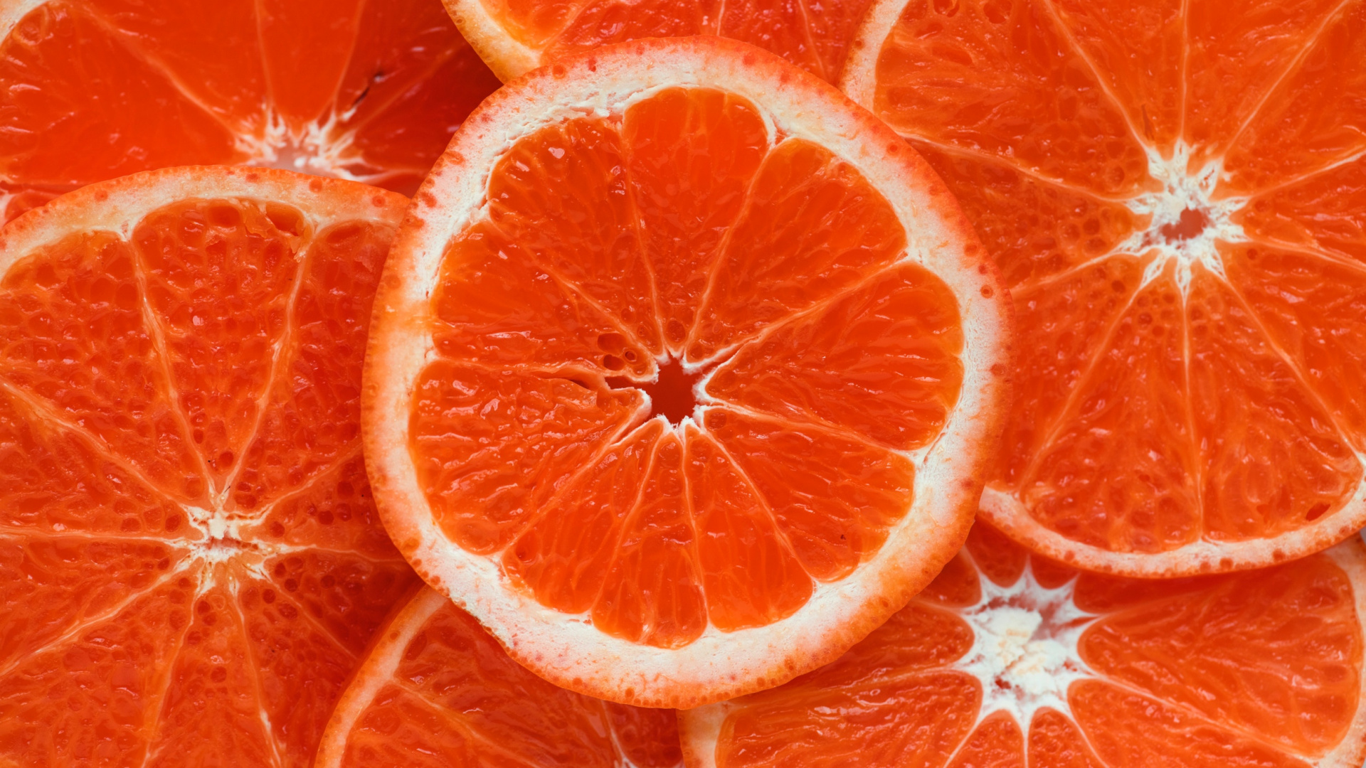 Orange-weiße Blätter Auf Braunem Ast. Wallpaper in 1920x1080 Resolution