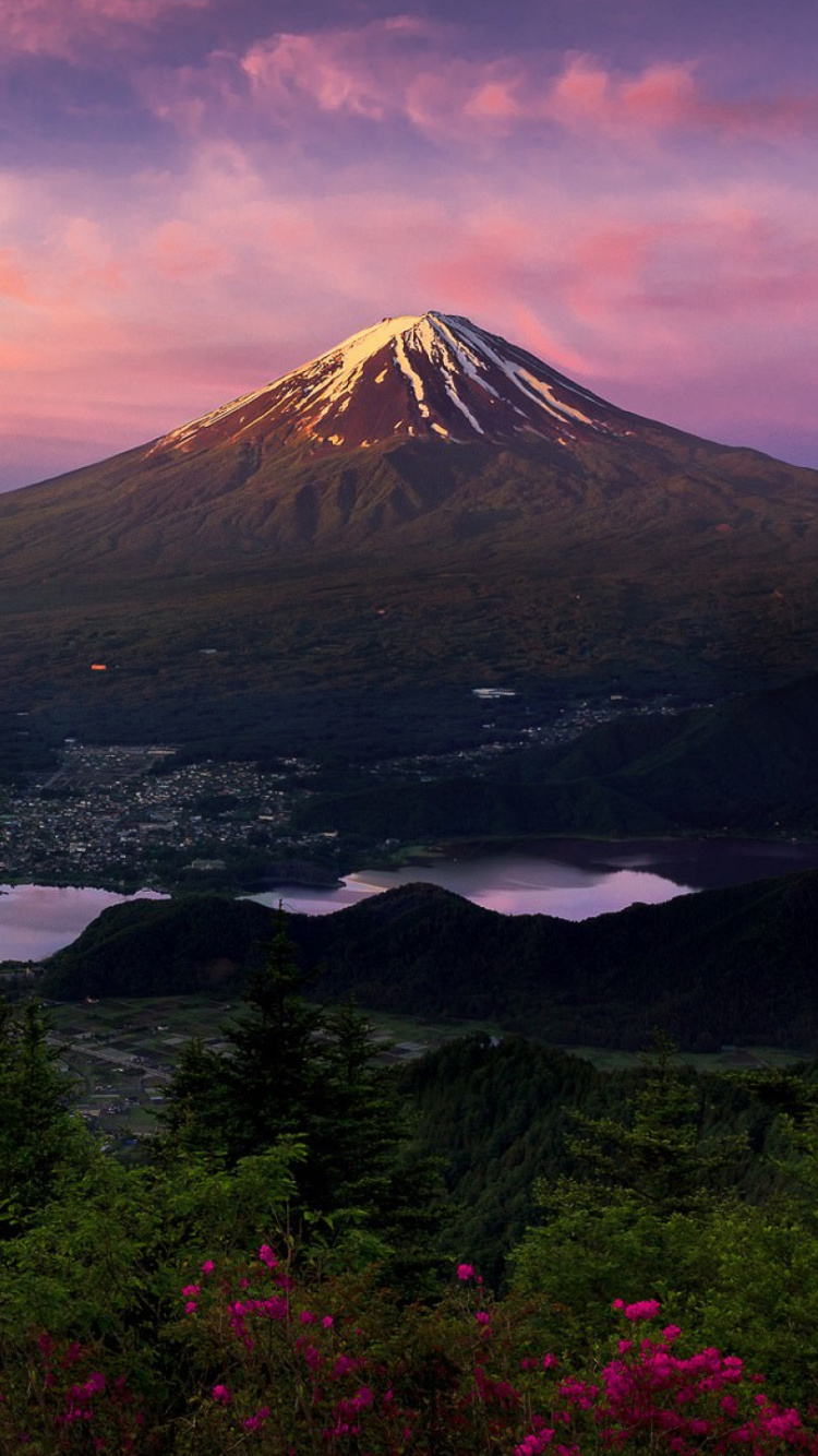 Arbres Verts Près de la Montagne Pendant la Journée. Wallpaper in 750x1334 Resolution