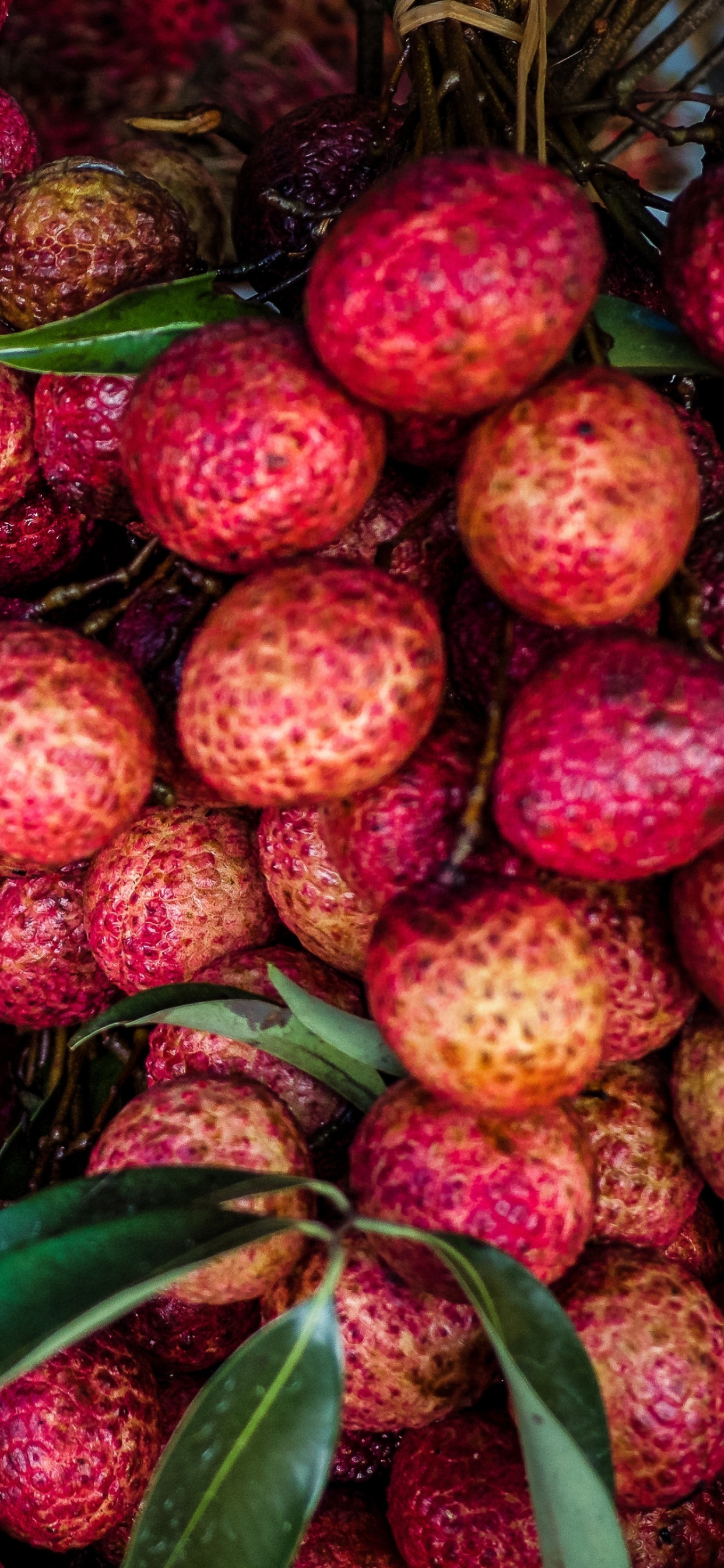 Fraises Rouges Sur Panier Tressé Marron. Wallpaper in 1242x2688 Resolution