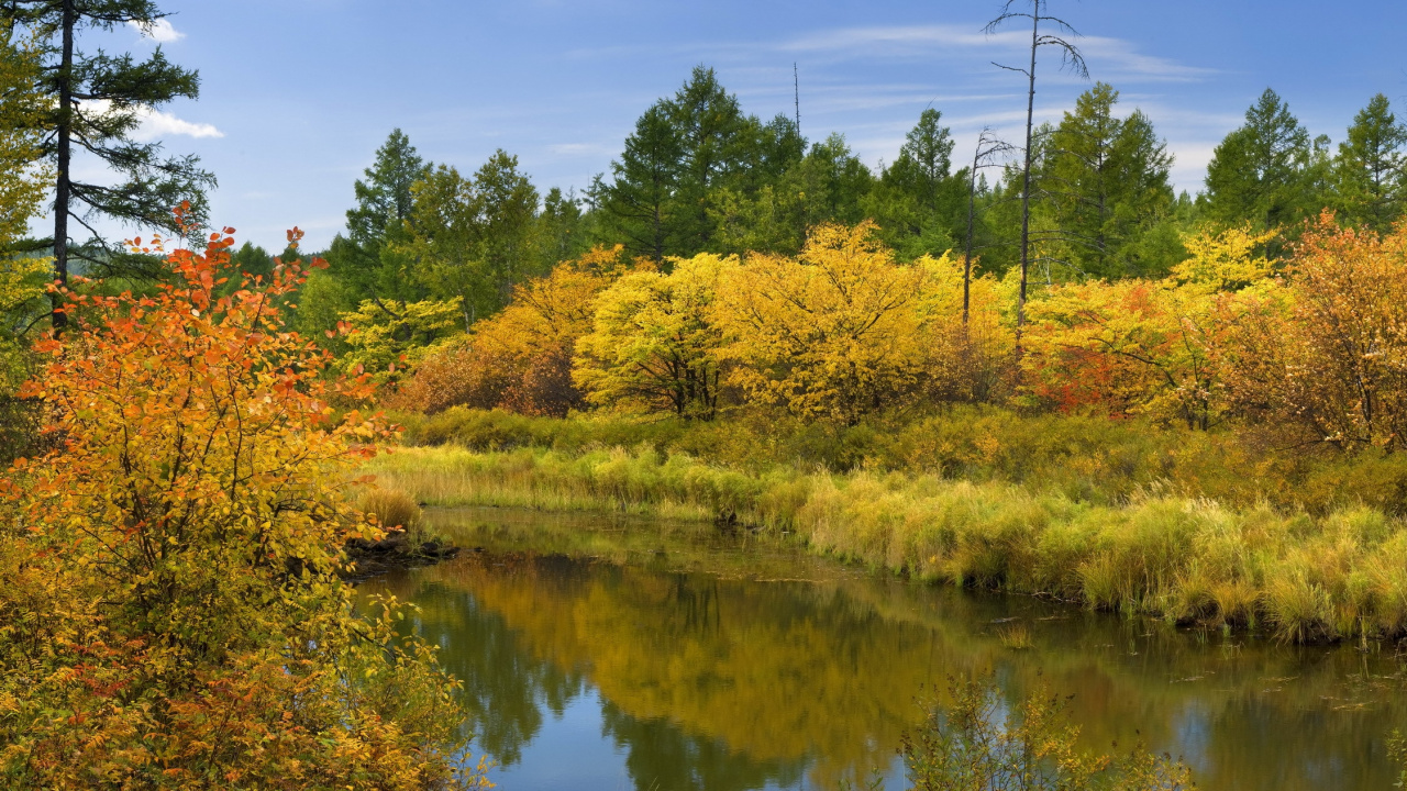 Green and Yellow Trees Beside Lake Under Blue Sky During Daytime. Wallpaper in 1280x720 Resolution