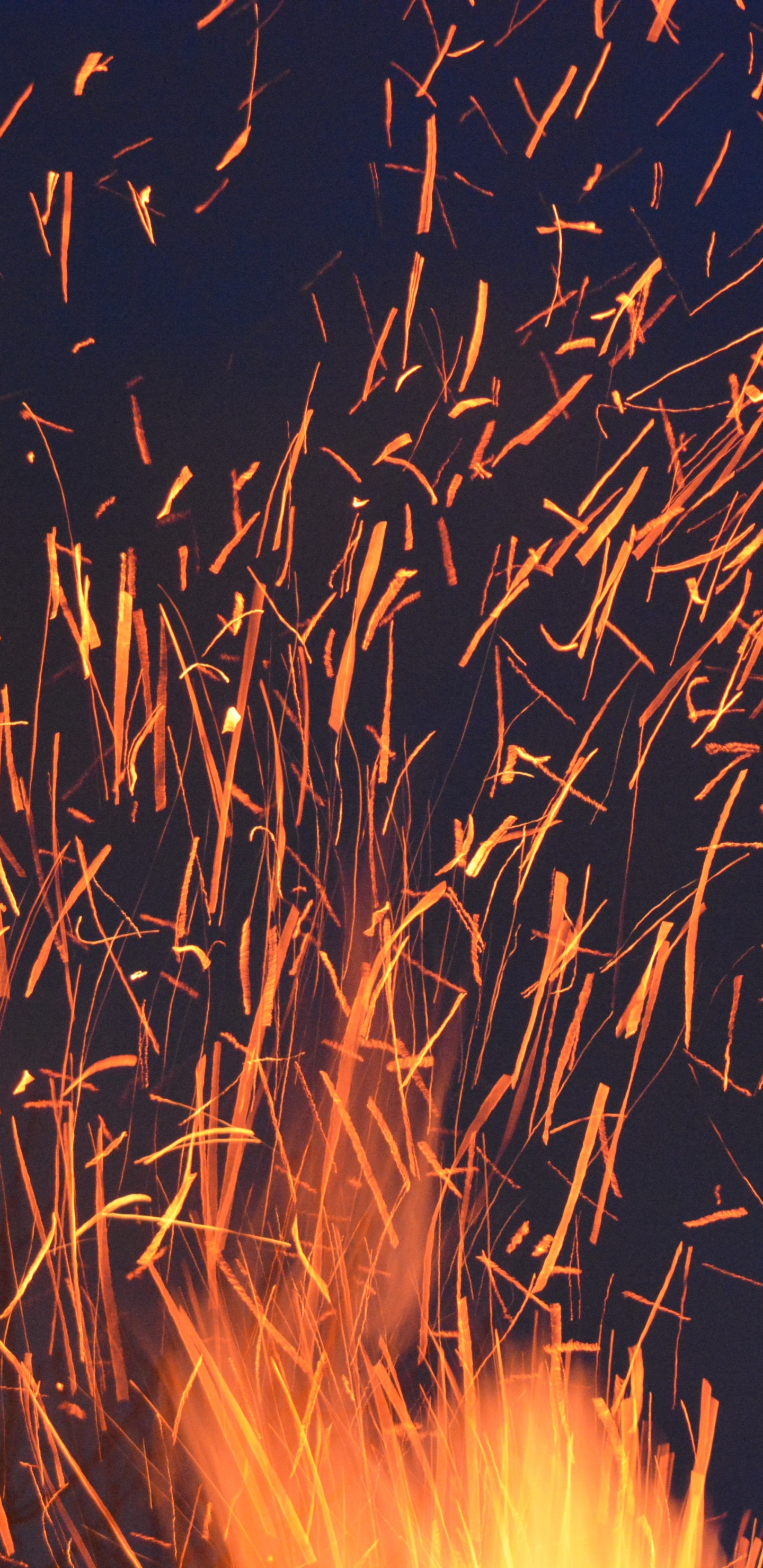 Fire Works in The Sky During Night Time. Wallpaper in 1440x2960 Resolution