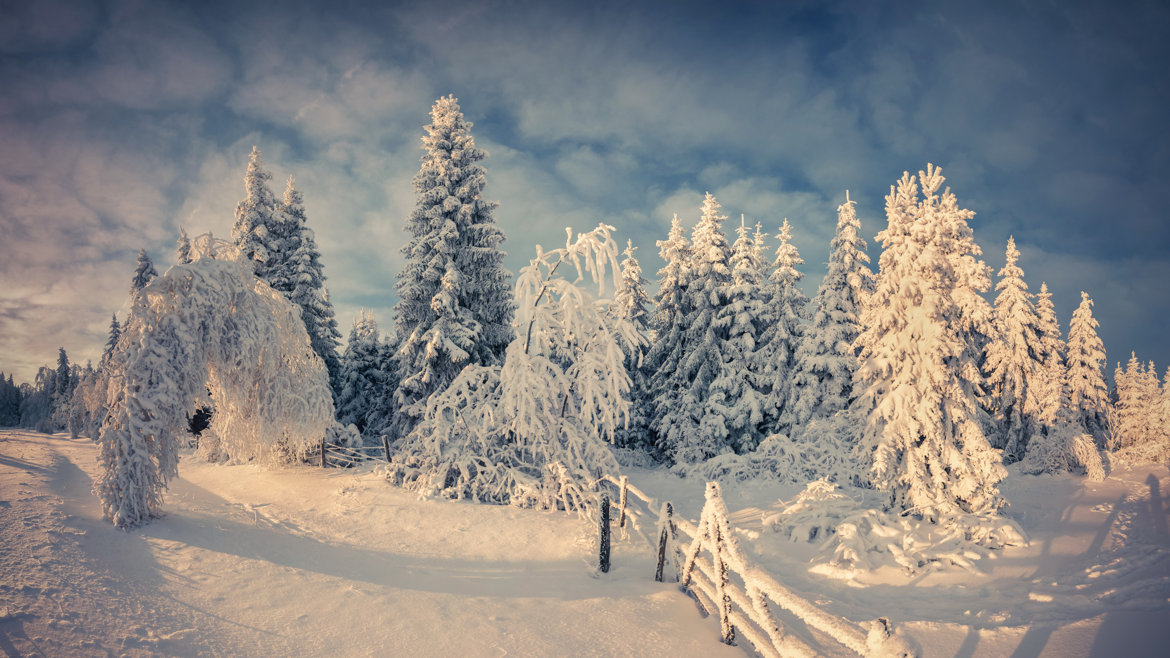 Árboles Cubiertos de Nieve y Montañas Durante el Día. Wallpaper in 3840x2160 Resolution