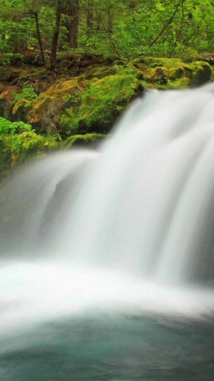 Waterfalls in Forest During Daytime. Wallpaper in 720x1280 Resolution