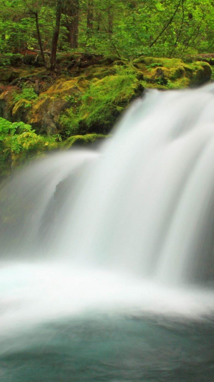 Cascades en Forêt Pendant la Journée. Wallpaper in 750x1334 Resolution