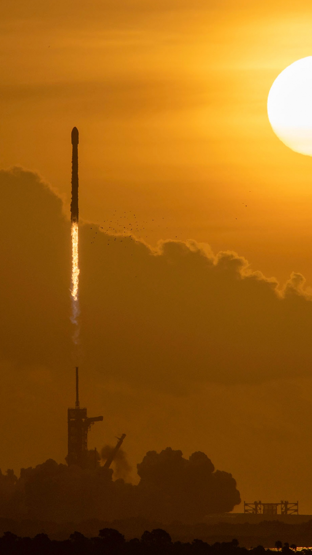SpaceX, Spacex Tripulación-1, la Estación Espacial Internacional, Tripulación Dragón Demo-2, Starlink. Wallpaper in 1080x1920 Resolution