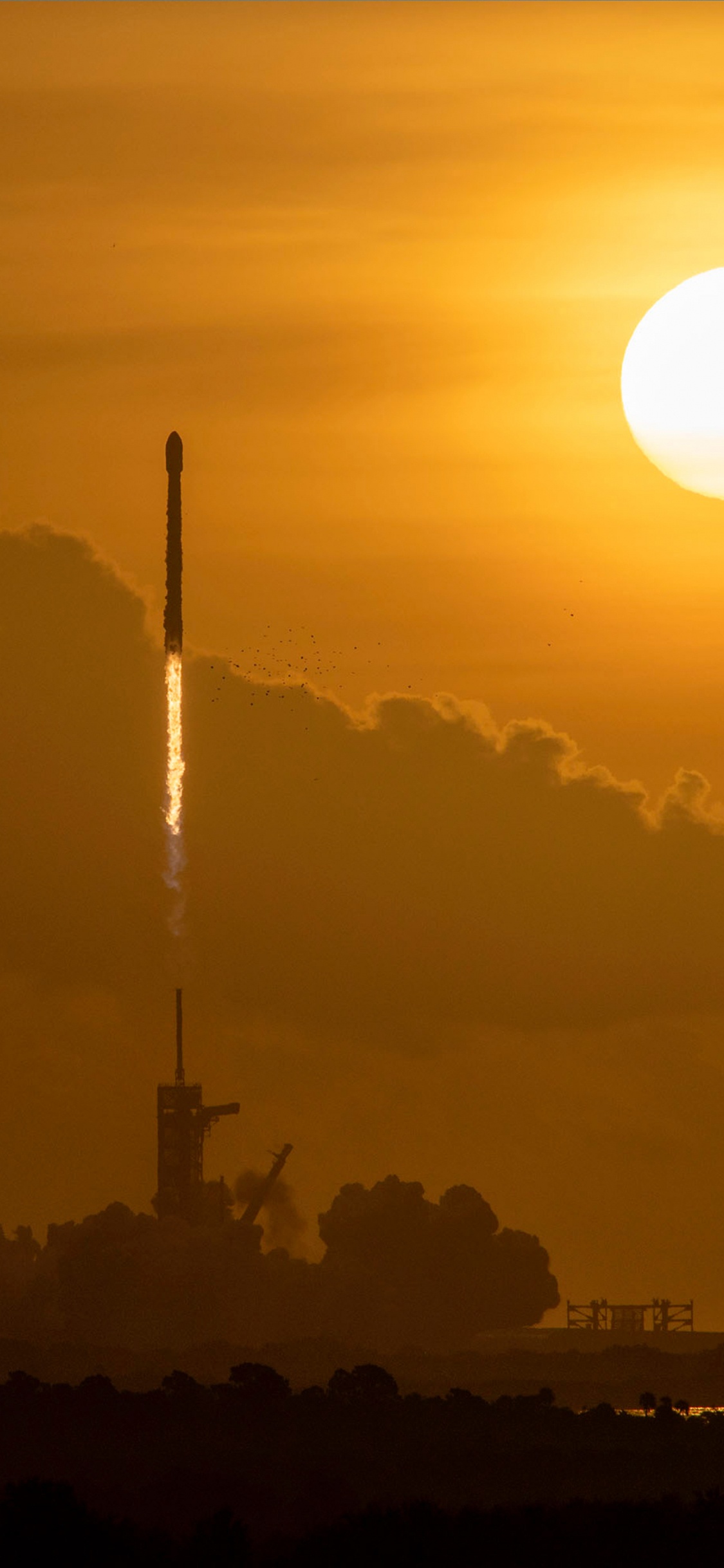 SpaceX, Spacex Tripulación-1, la Estación Espacial Internacional, Tripulación Dragón Demo-2, Starlink. Wallpaper in 1125x2436 Resolution