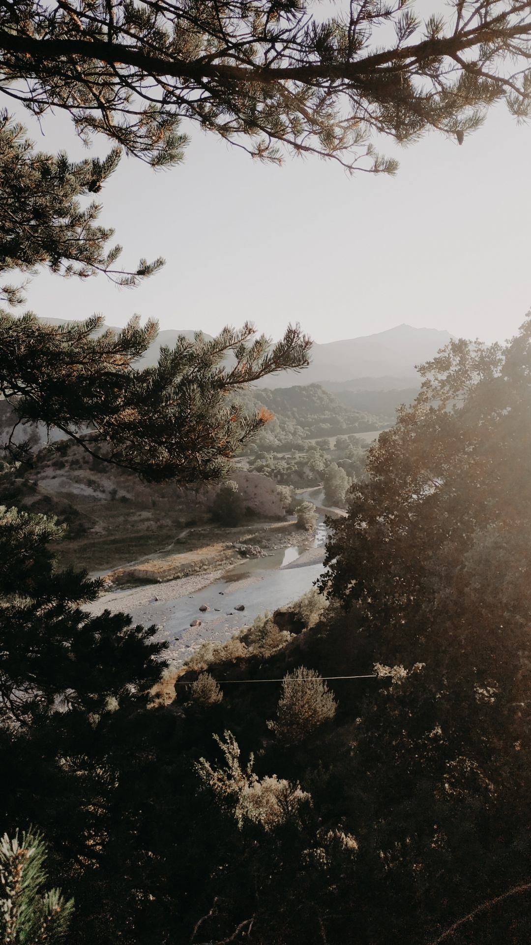 Matin, Eau, Brouillard, Hiver, Plantes Ligneuses. Wallpaper in 1080x1920 Resolution