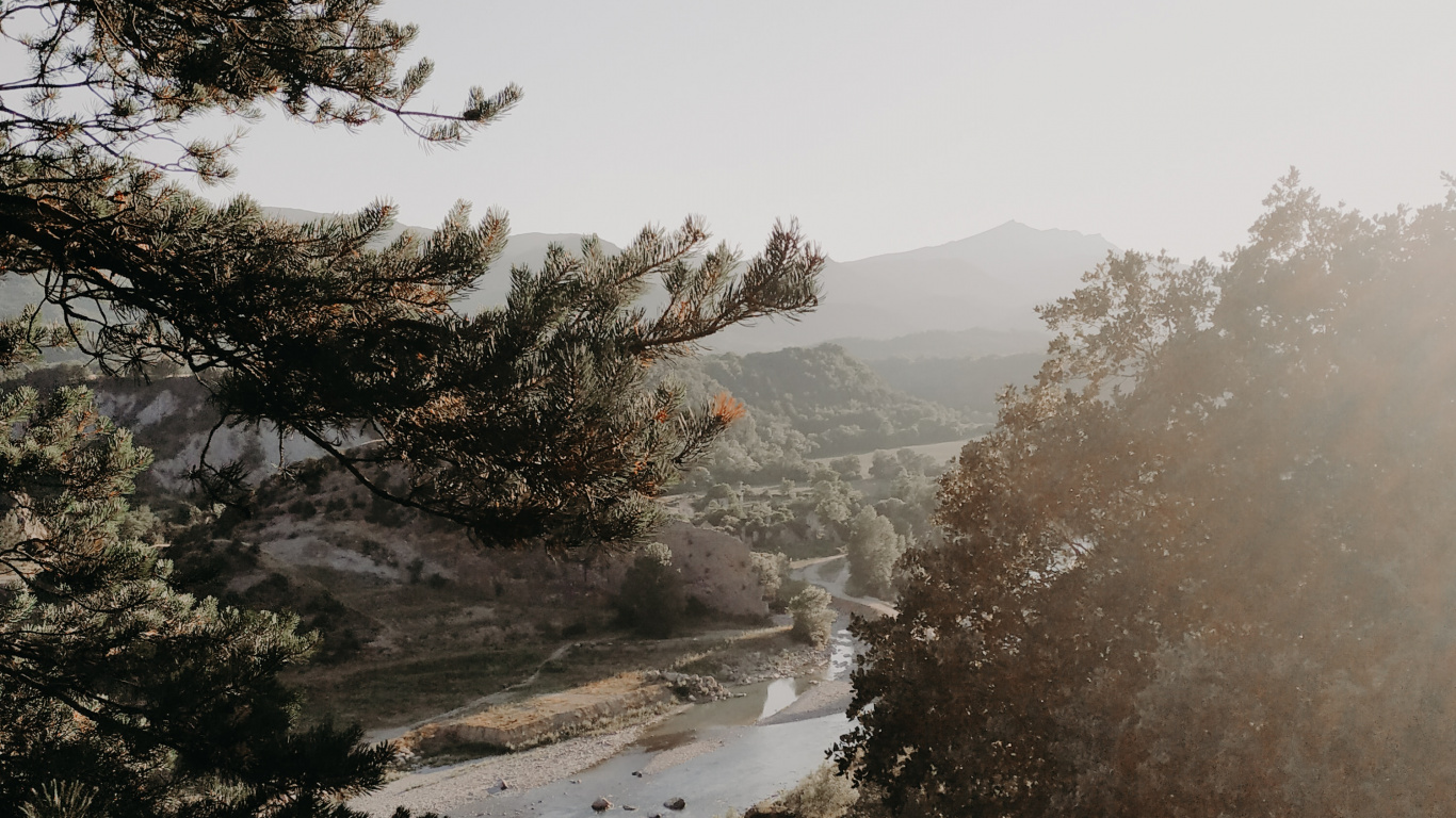 Baum, Morgen, Branch, Wasser, Nebel. Wallpaper in 1366x768 Resolution