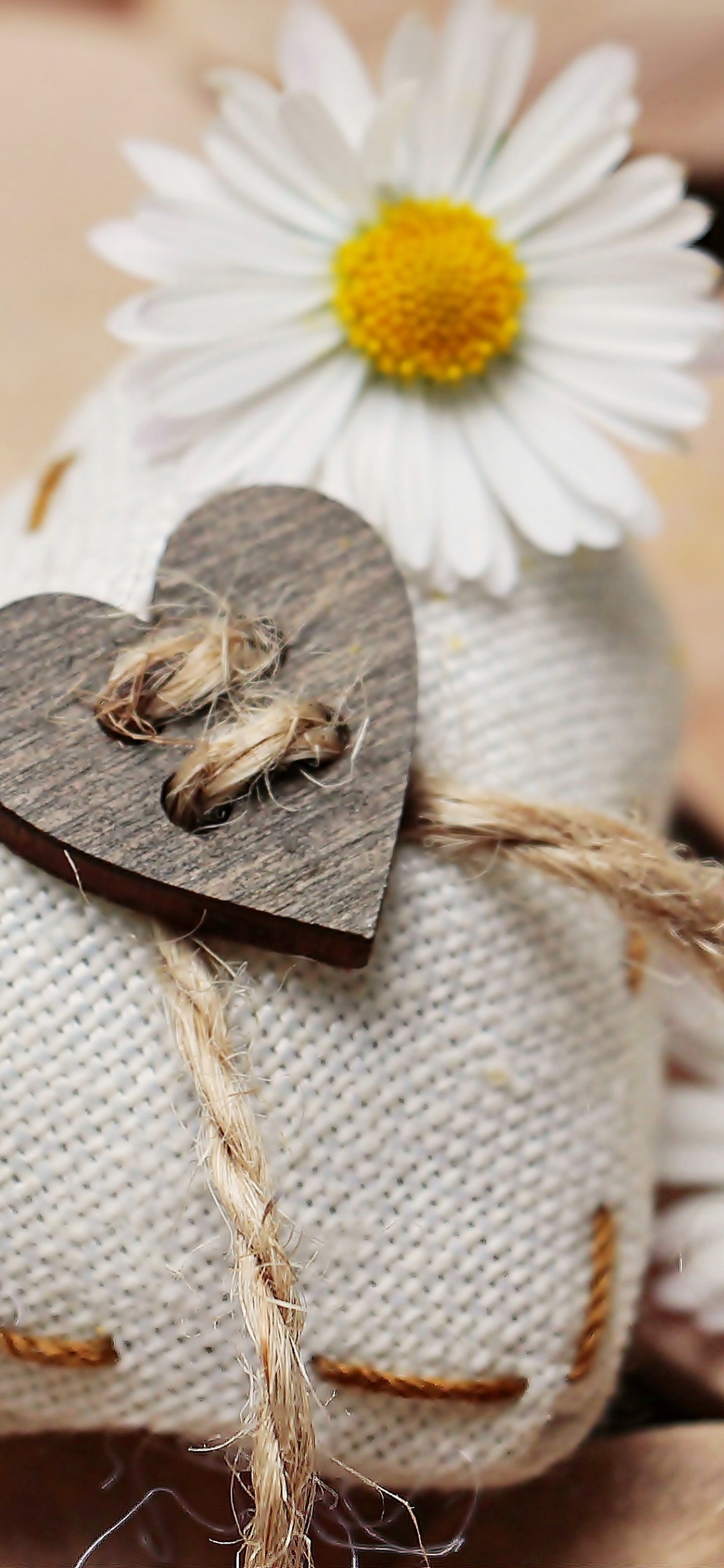 Manzanilla, Amarillo, Accesorio Para el Pelo, Mayweed, Pétalo. Wallpaper in 1125x2436 Resolution