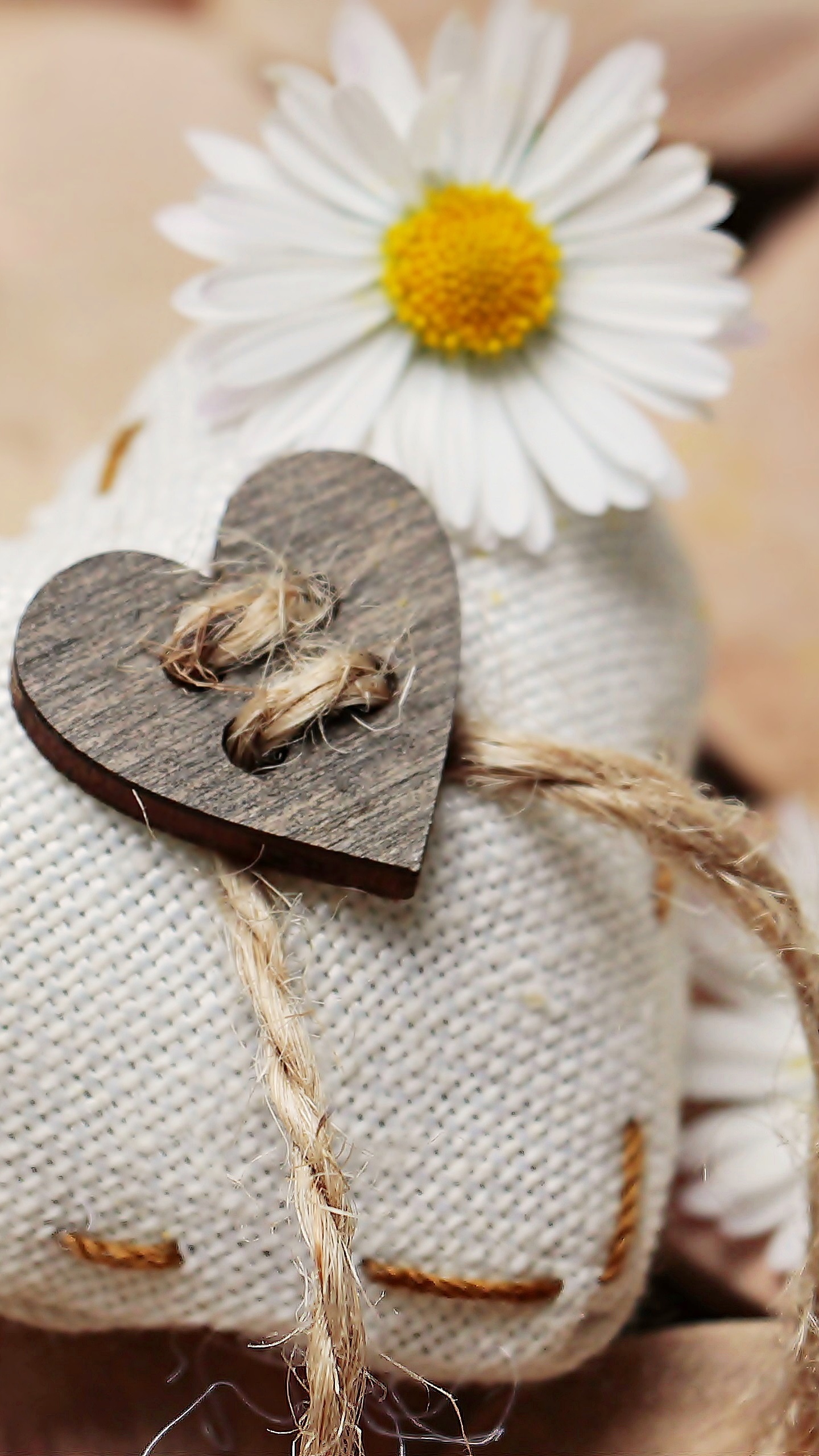 Daisy, Camomille, Jaune, Accessoire de Cheveux, Mayweed. Wallpaper in 1440x2560 Resolution