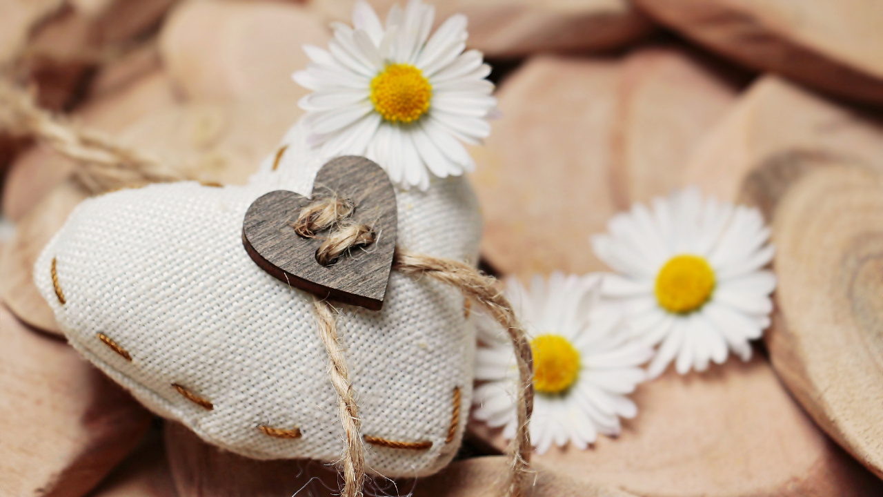 Daisy, Kamille, Kamillentee, Gelb, Haarschmuck. Wallpaper in 1280x720 Resolution