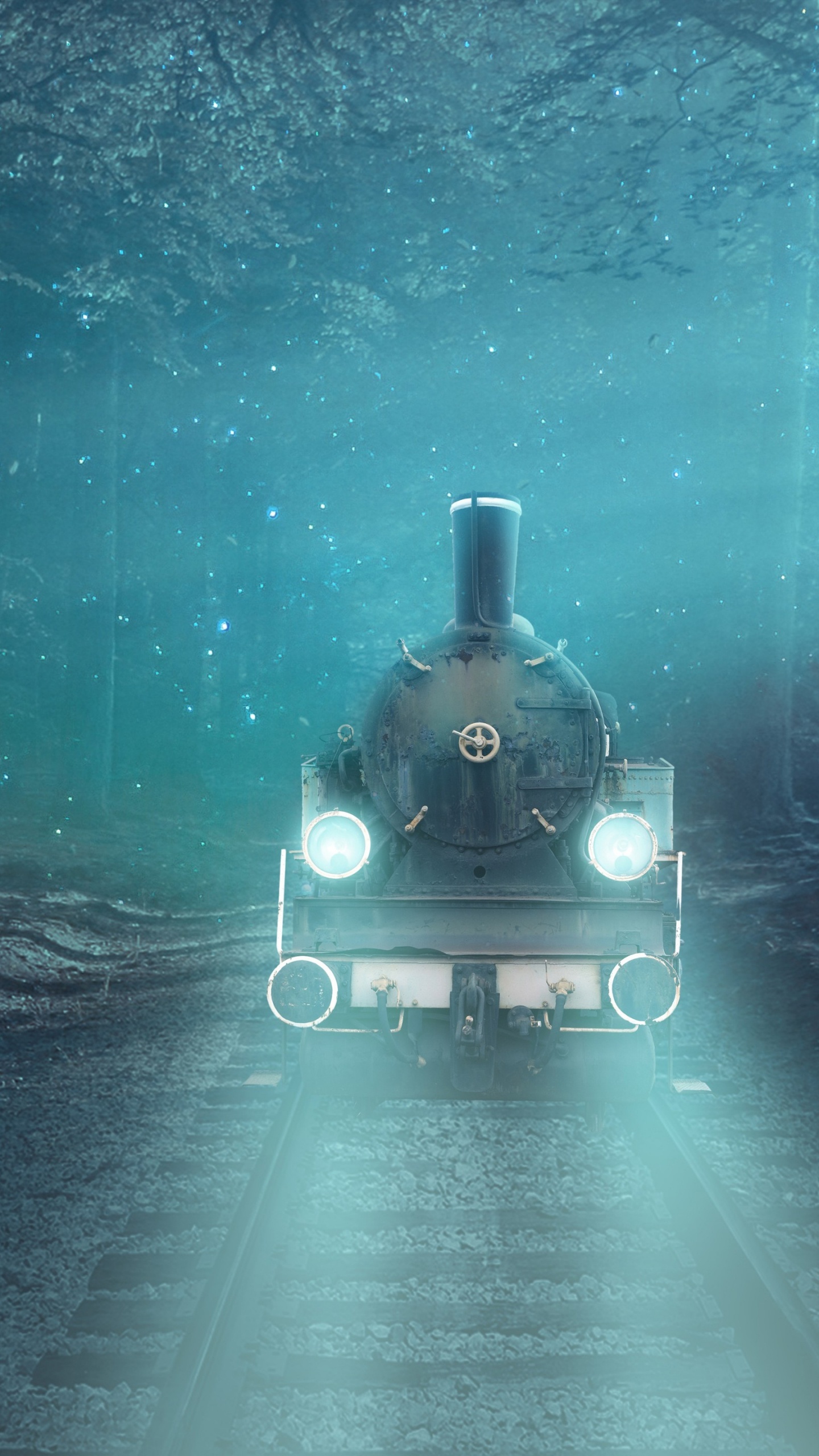 Fantasy Train, Train, Atmosphere, Plant, Automotive Lighting. Wallpaper in 1440x2560 Resolution