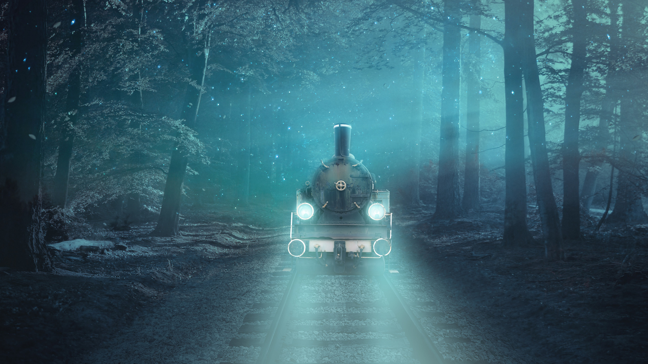 Fantasy Train, Train, Atmosphere, Plant, Automotive Lighting. Wallpaper in 2560x1440 Resolution