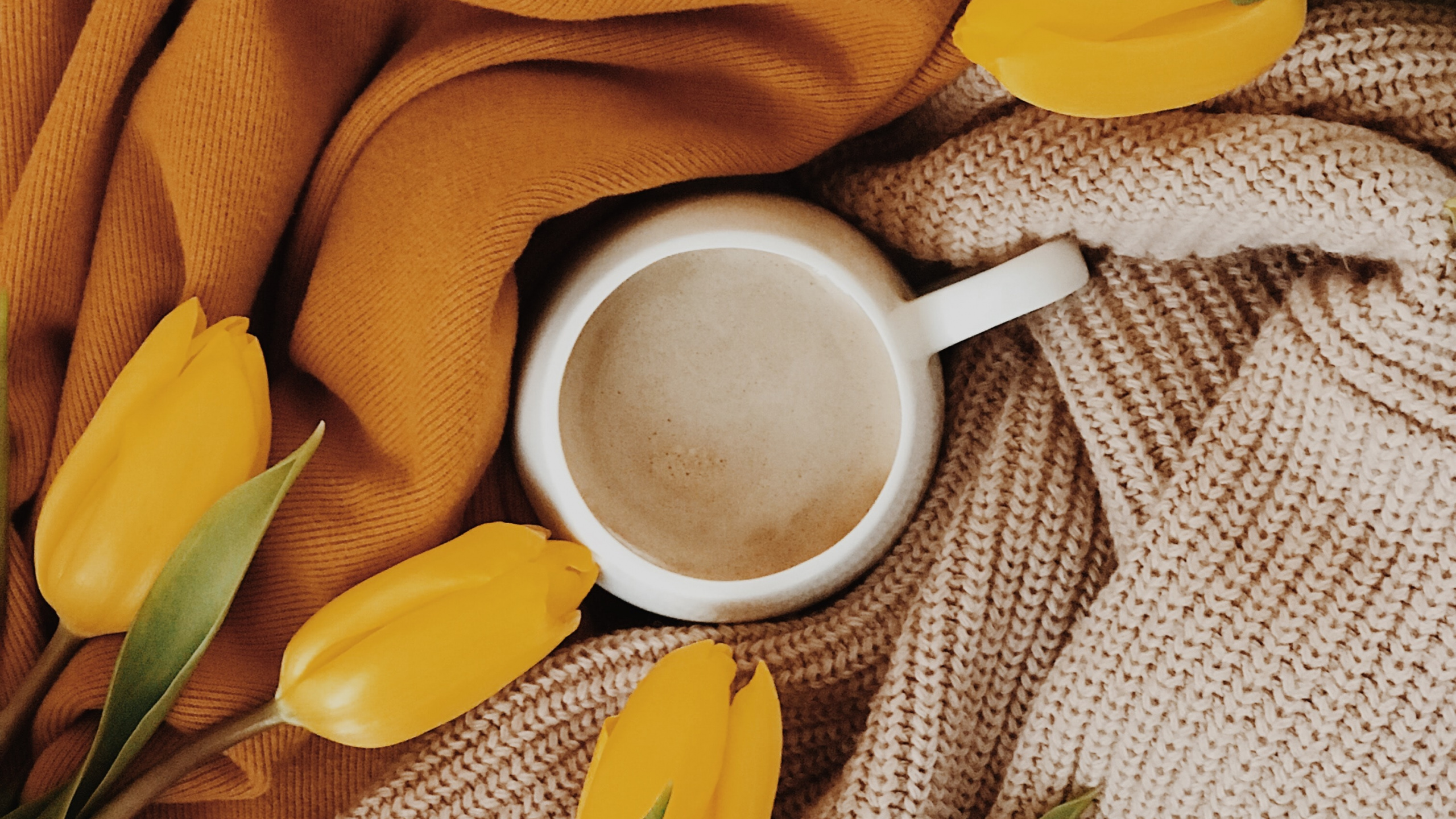 Taza de Cerámica Blanca Sobre Textil Amarillo. Wallpaper in 2560x1440 Resolution