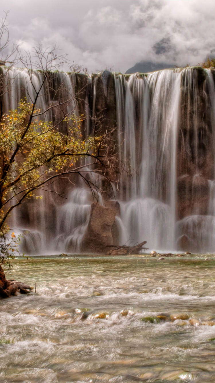 Cascadas en el Bosque Durante el Día.. Wallpaper in 750x1334 Resolution