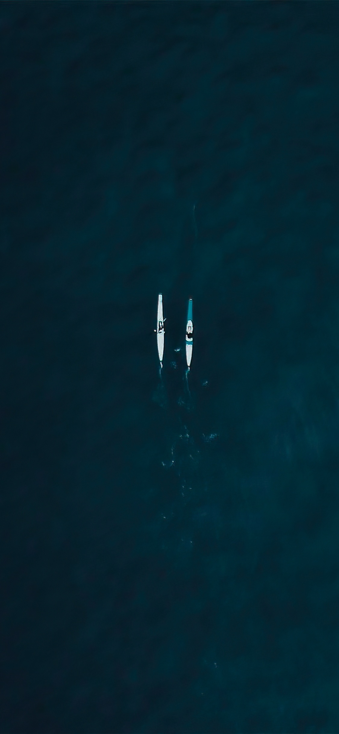 Agua, Azul, Moto de Agua, Lago, Recreación. Wallpaper in 1125x2436 Resolution