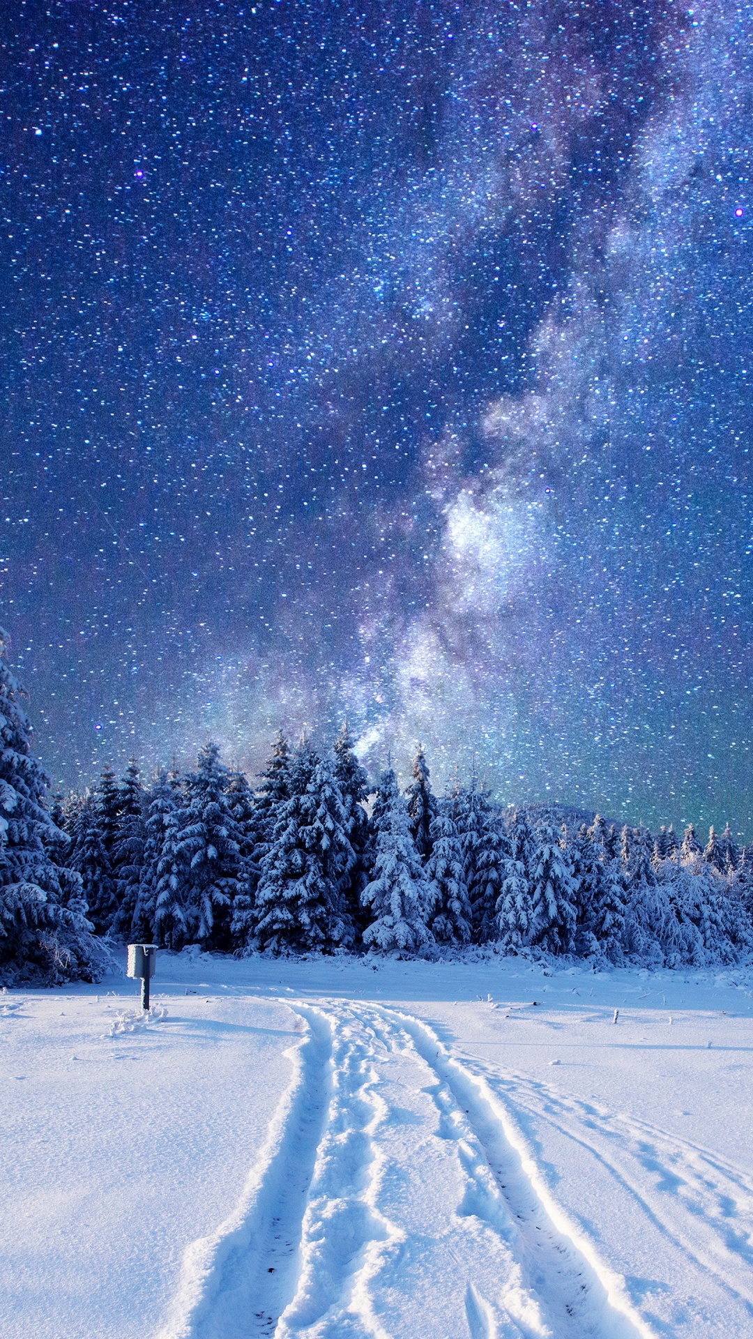 Kiefern Auf Schneebedecktem Boden Unter Sternenklarer Nacht. Wallpaper in 1080x1920 Resolution