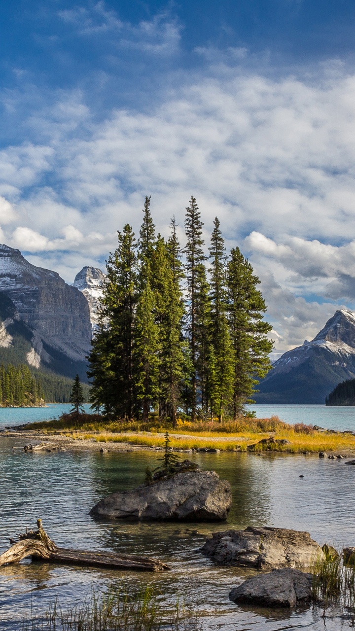 Pins Verts Près du Lac Sous Des Nuages Blancs et un Ciel Bleu Pendant la Journée. Wallpaper in 720x1280 Resolution