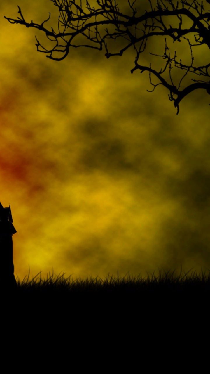 Jaune, Atmosphère, Soir, Spectre, Ciel. Wallpaper in 720x1280 Resolution